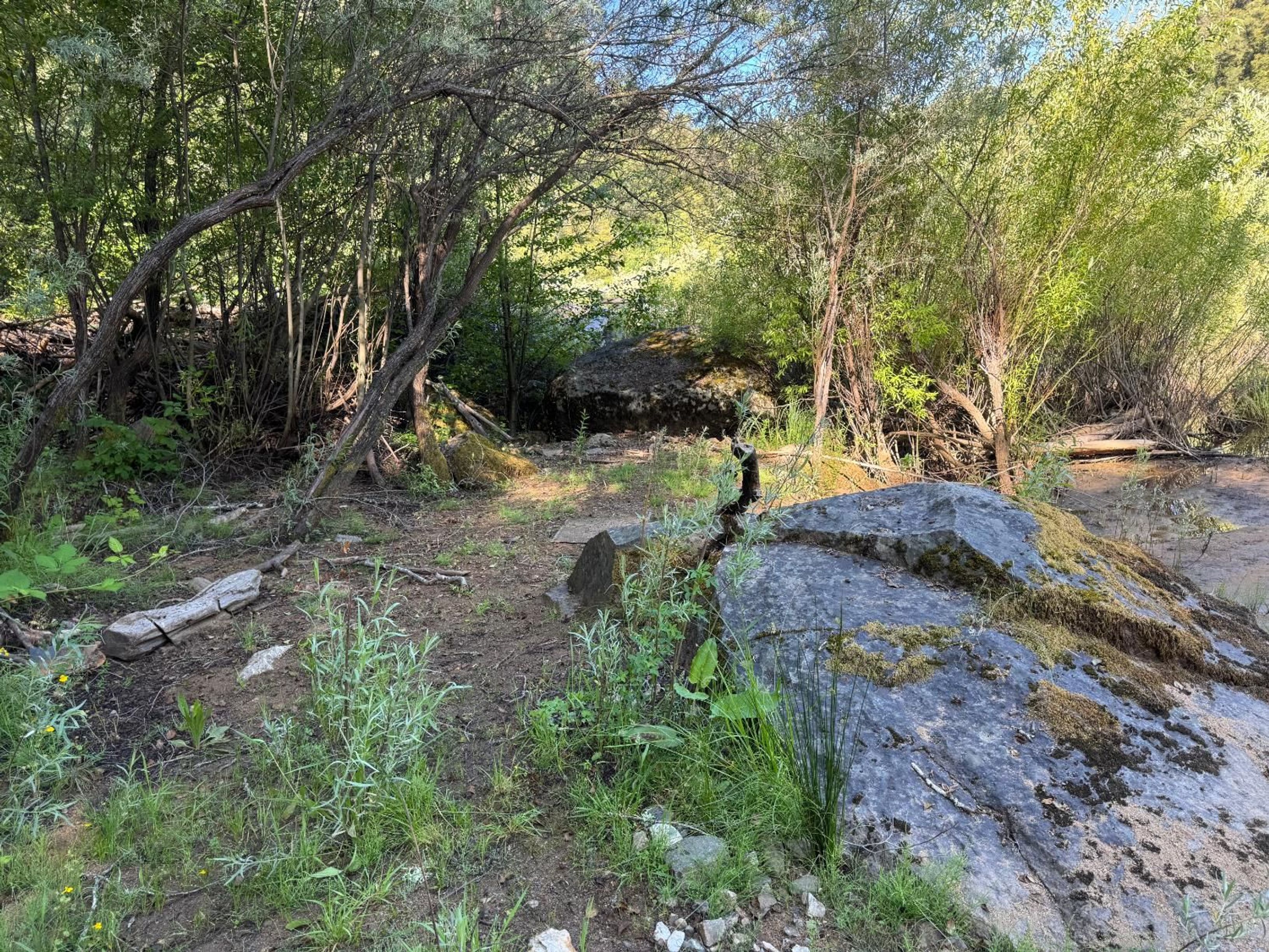  0 Old Country Road, West Point, CA 95255 - 物件實景