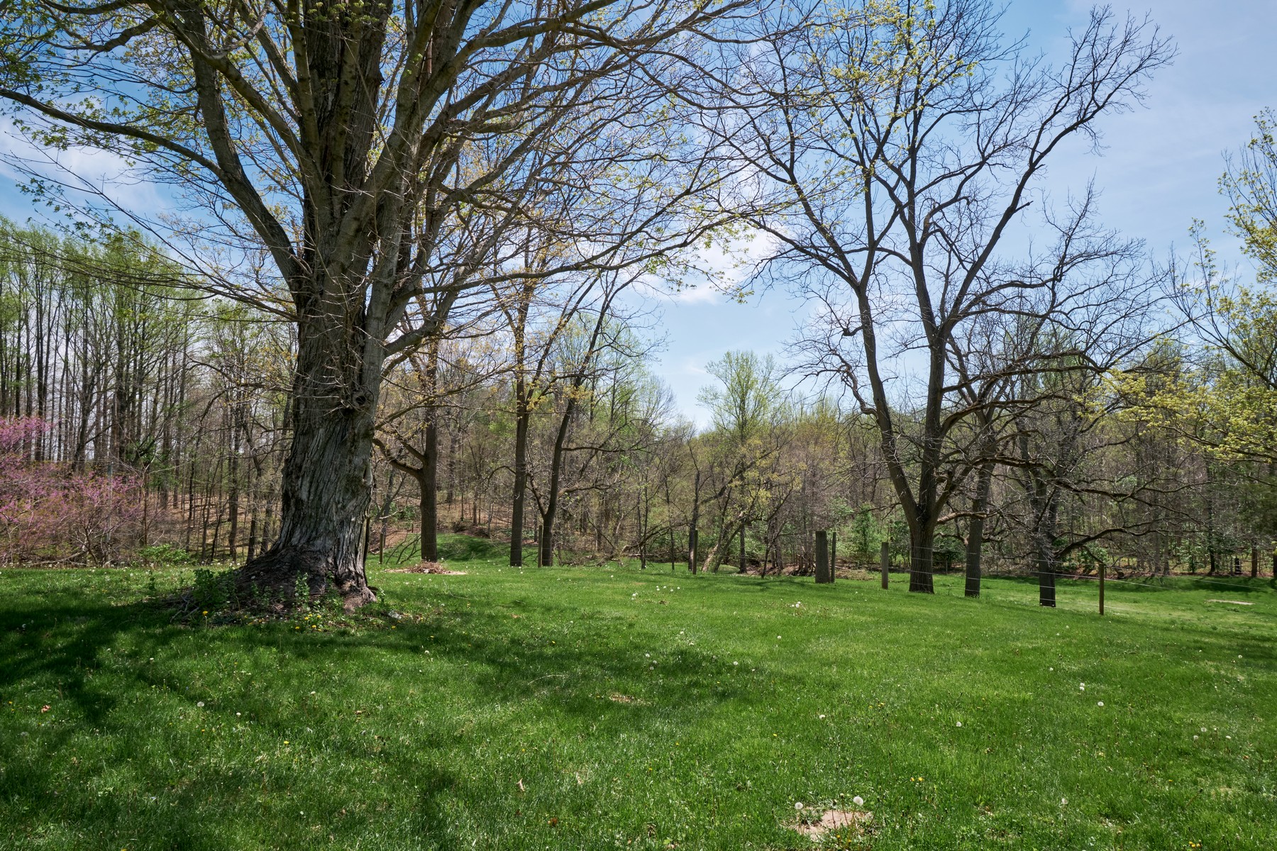  Premier Orchard & Winery with Luxurious Main House - 物件實景