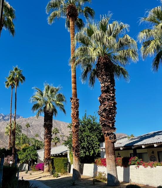 Palm Springs, California, 92264, United States, 3 Bedrooms Bedrooms, ,2 BathroomsBathrooms,Residential,For Sale,1998935