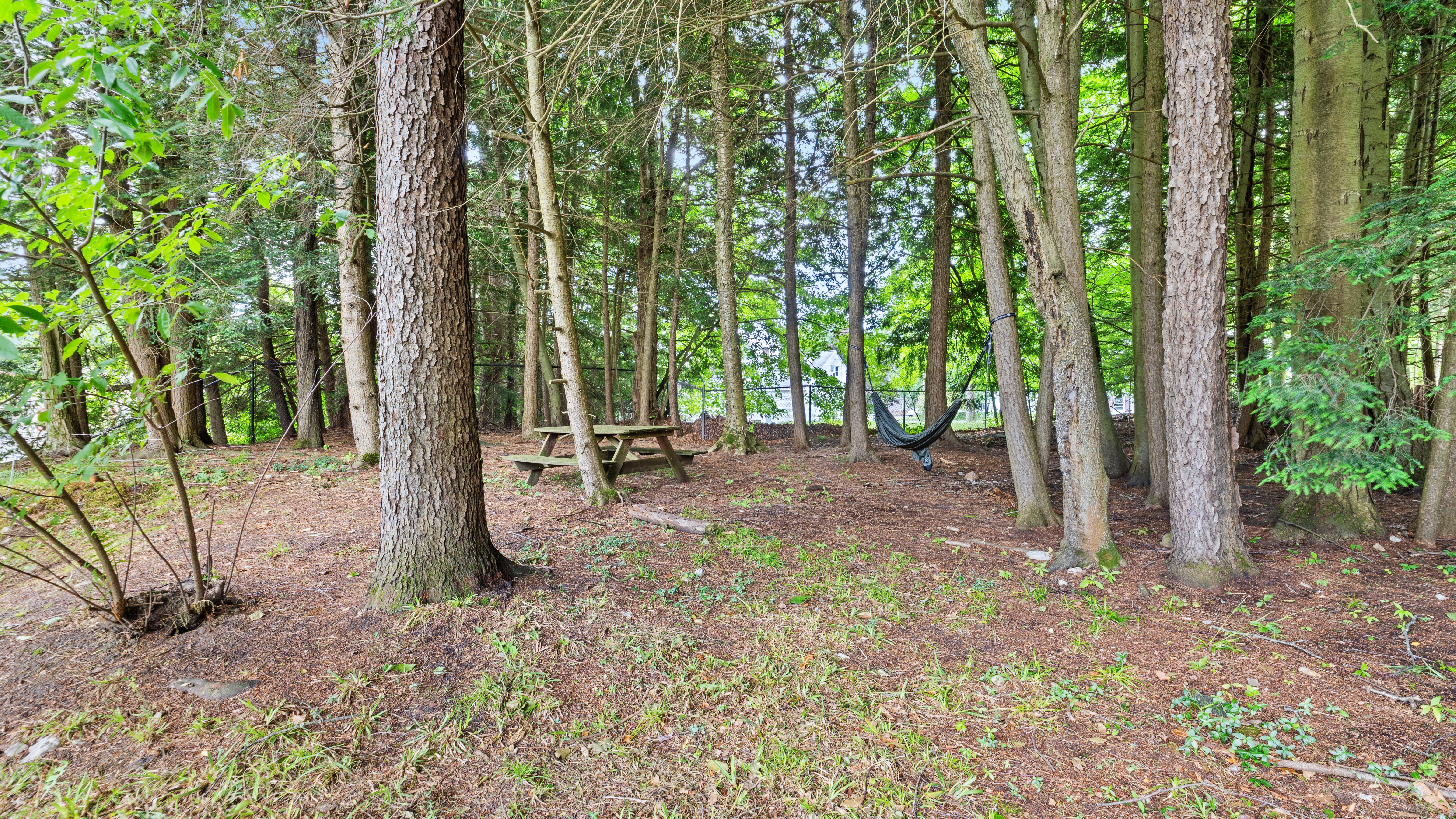  A Hilltop Wooded Retreat  Southeast Sleeper Modernized Colonial - 物件實景