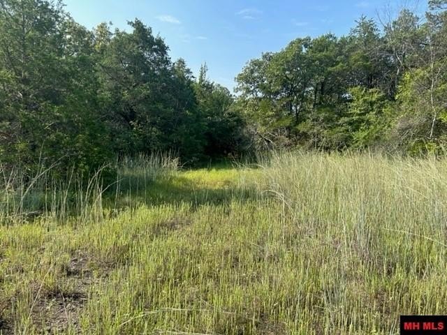 001-05276-003 INVERNESS DRIVE, Mountain Home, Arkansas, 72653, United States, ,Residential,For Sale,001-05276-003 INVERNESS DRIVE,1333567