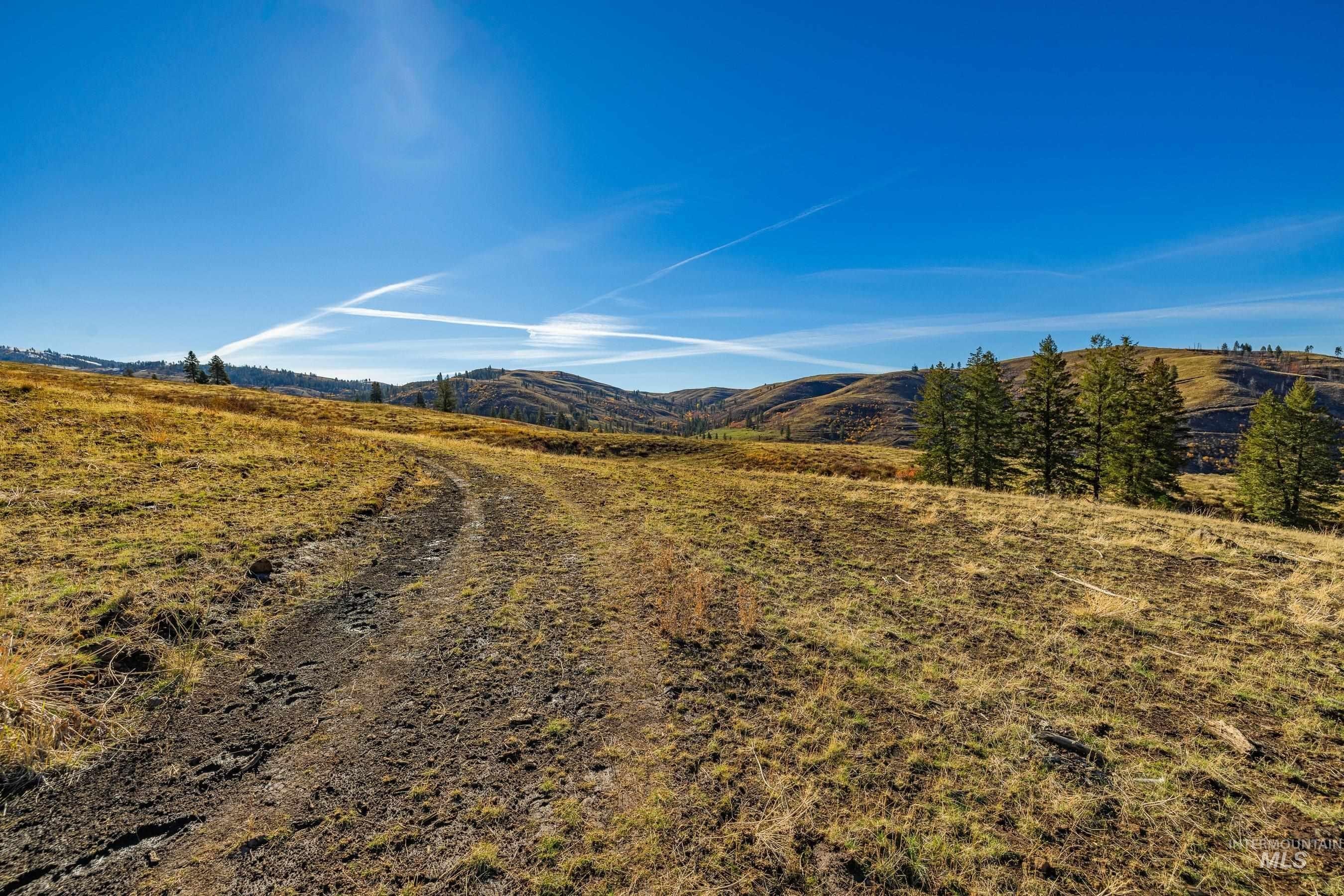 Council, Idaho, 83612, United States, ,Land,For Sale,1981211