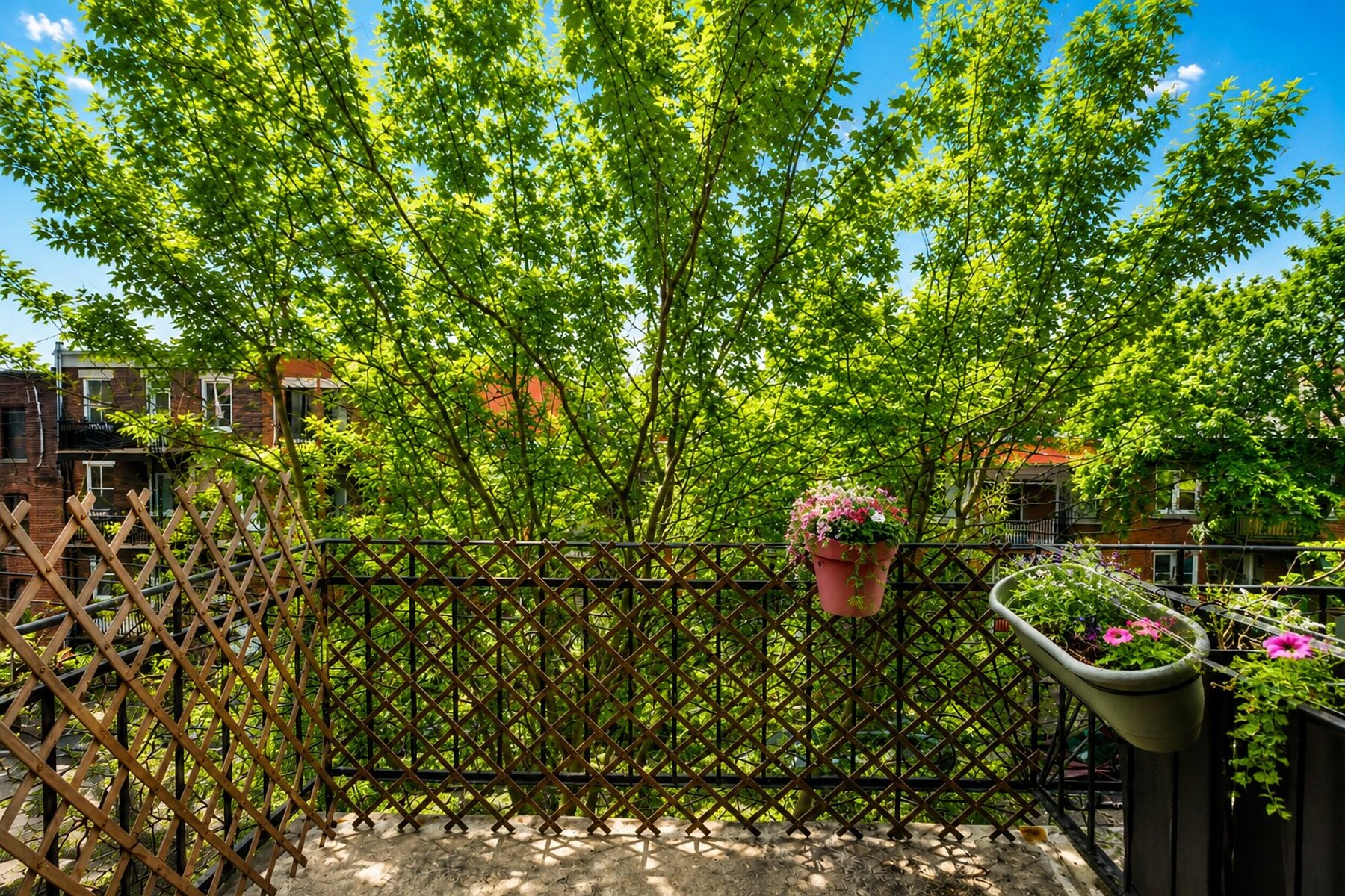  Rosemont / La Petite-Patrie, Montréal - 物件實景