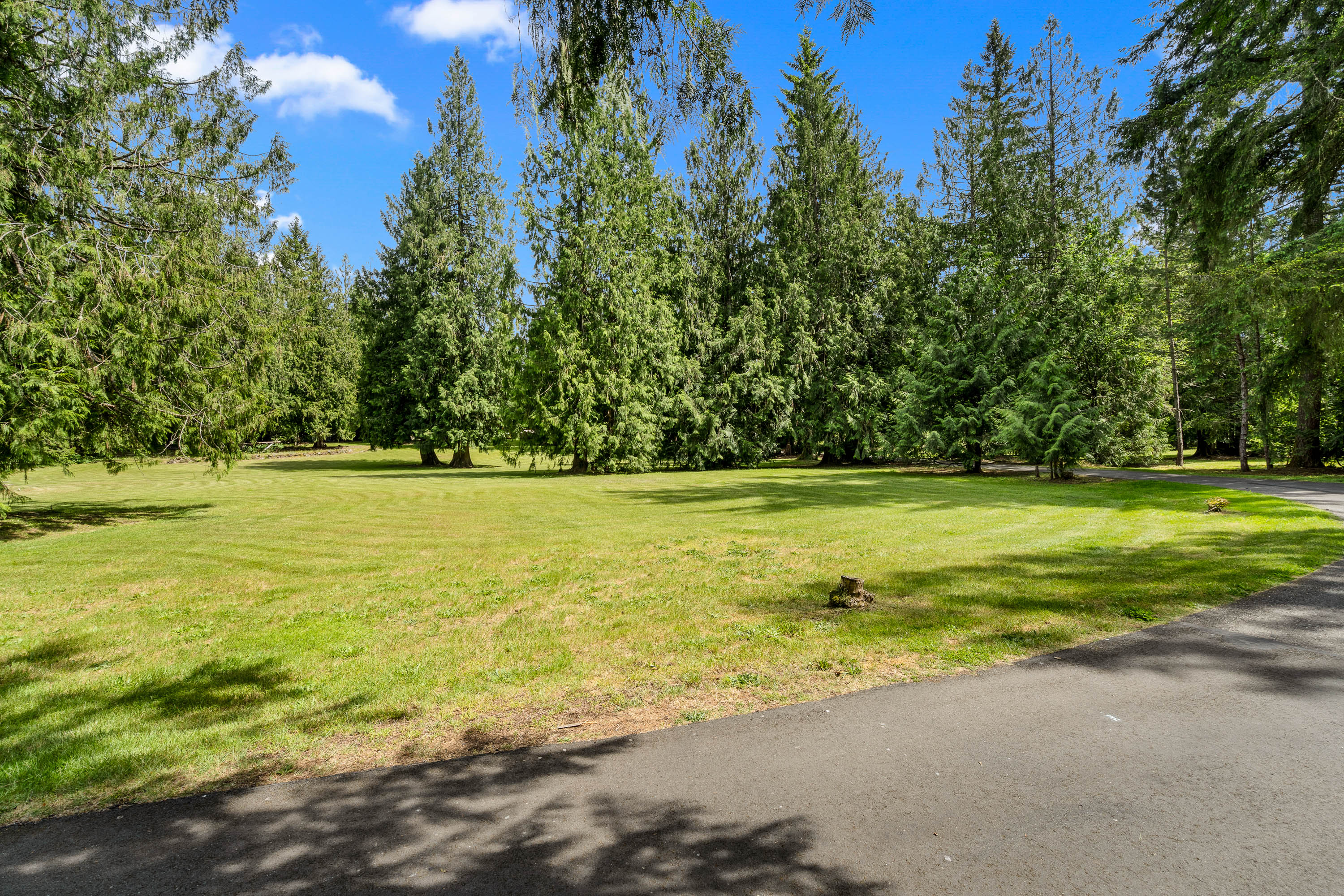  27019 SE 384th St, Enumclaw, WA 98022 - 物件實景