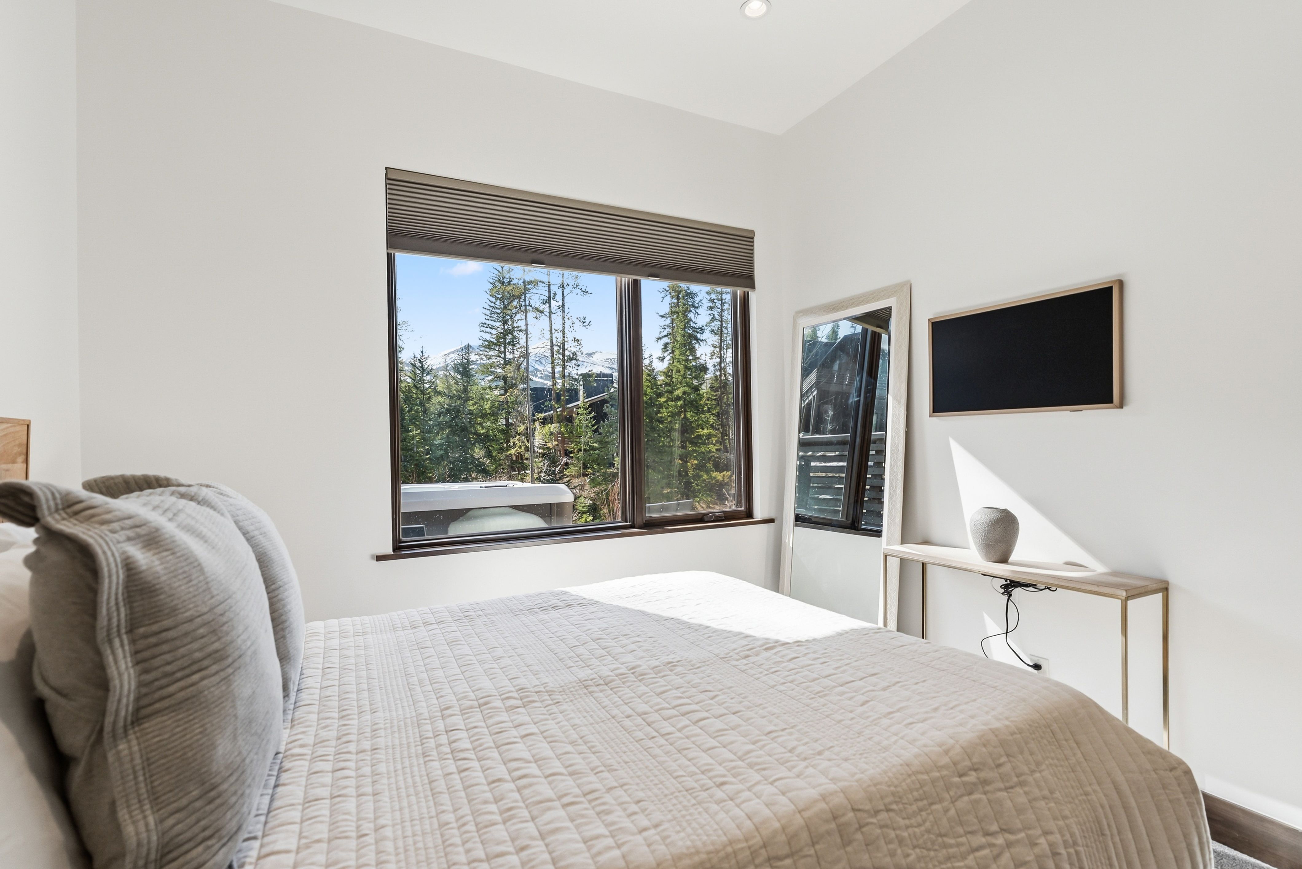  341 River Park Drive, Breckenridge, CO, 80424 - 物件實景