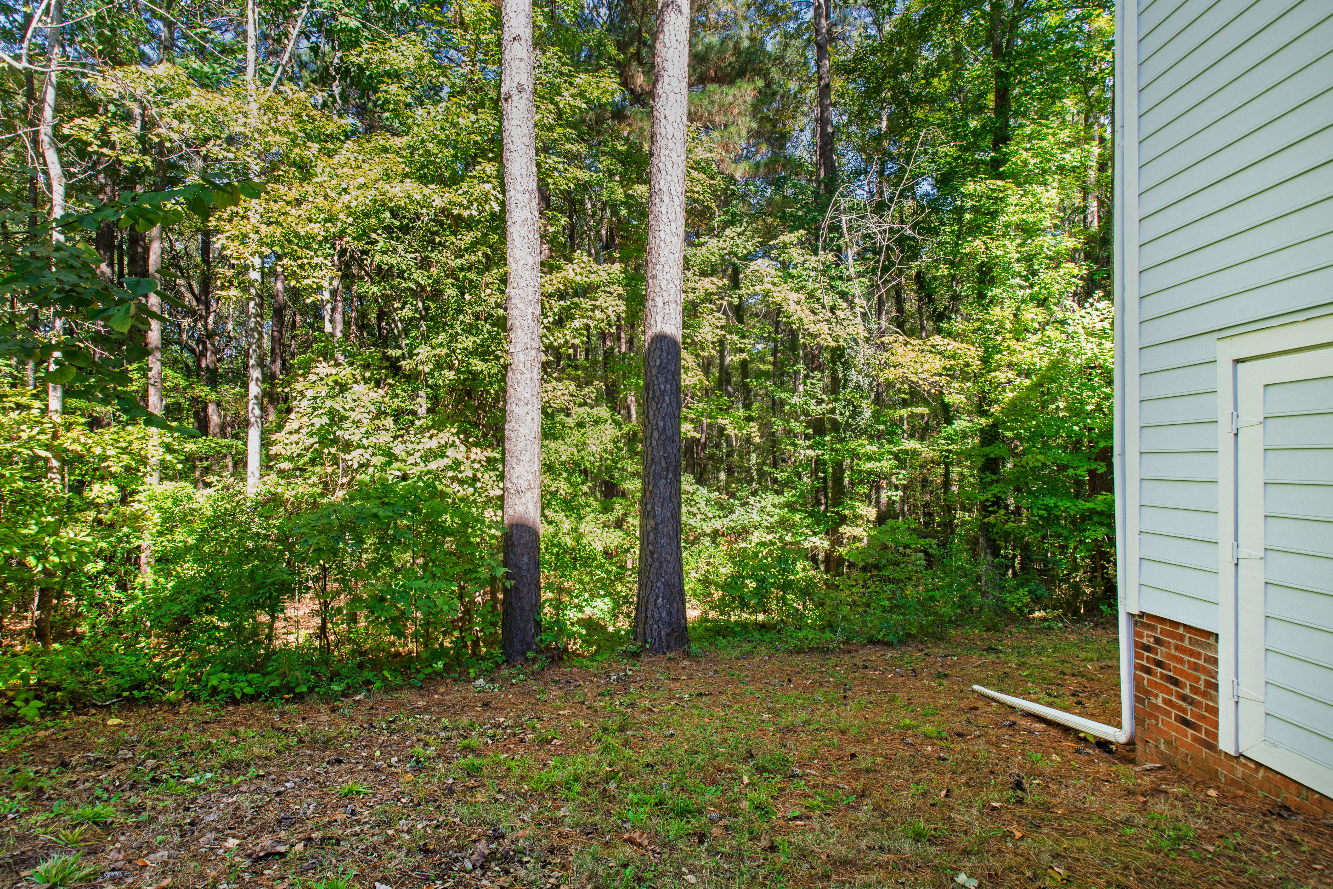  Your Backyard Adventure Awaits in Bond Pointe - 物件實景