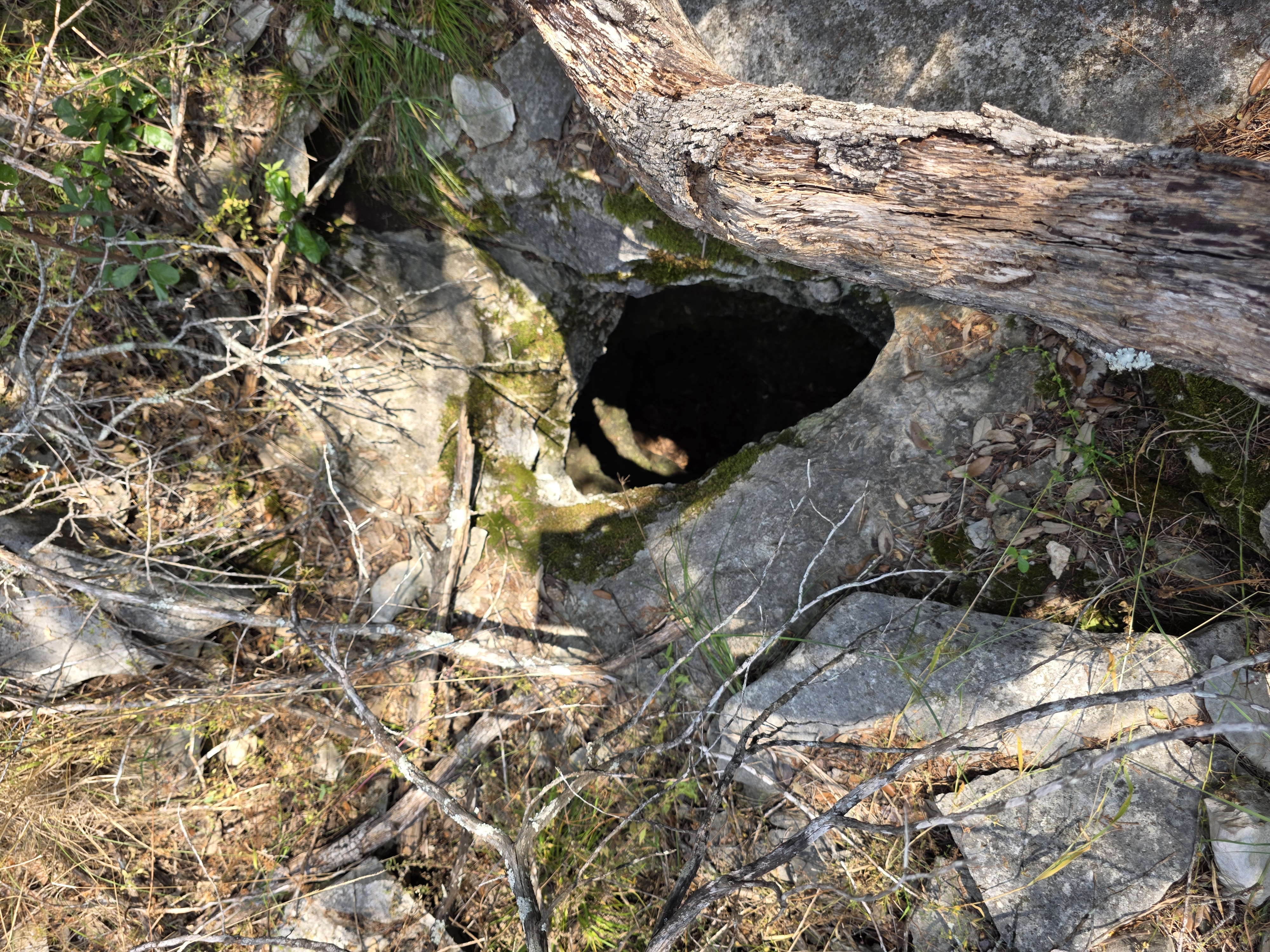 San Marcos, Texas, 78666, United States, ,Land,For Sale,1976108