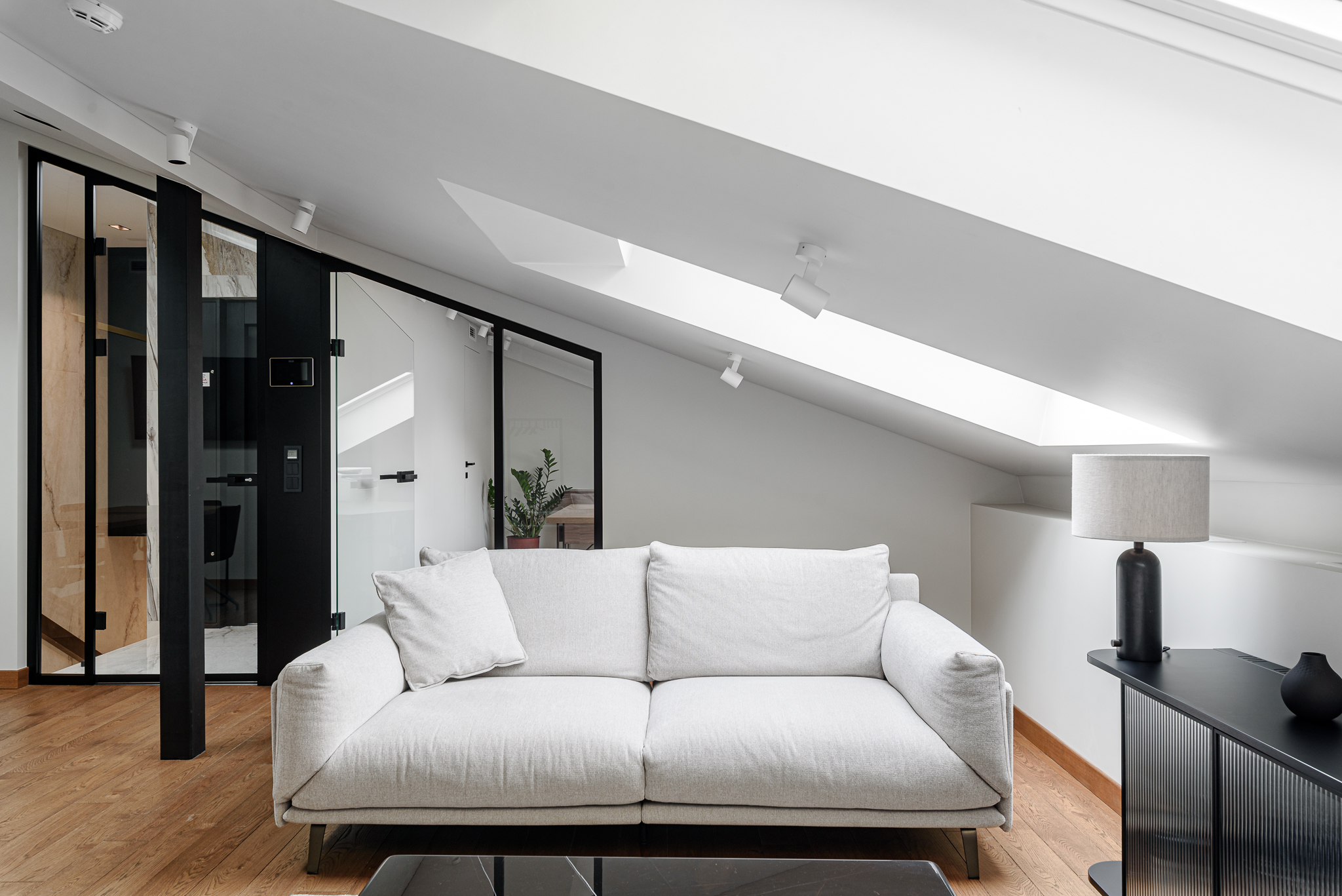  An extraordinary investment in the heart of Vilnius - 物件實景