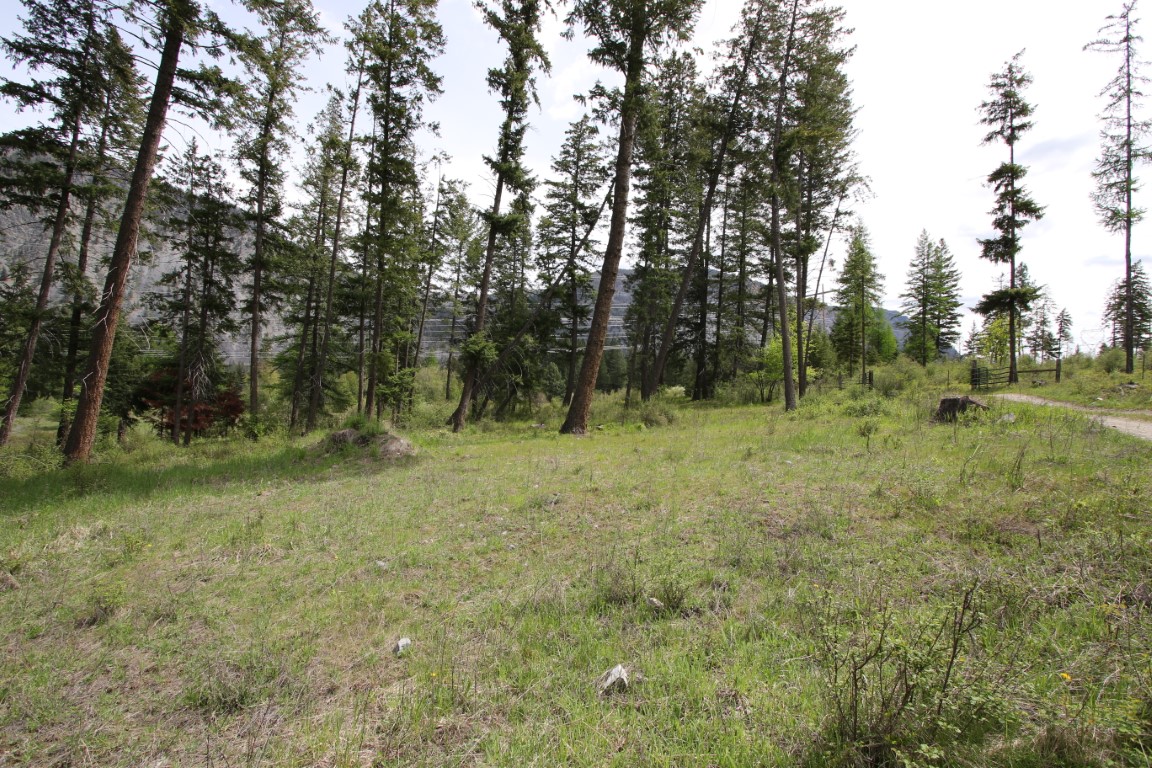 Plains, Montana, 59859, United States, ,Residential,For Sale,1921183