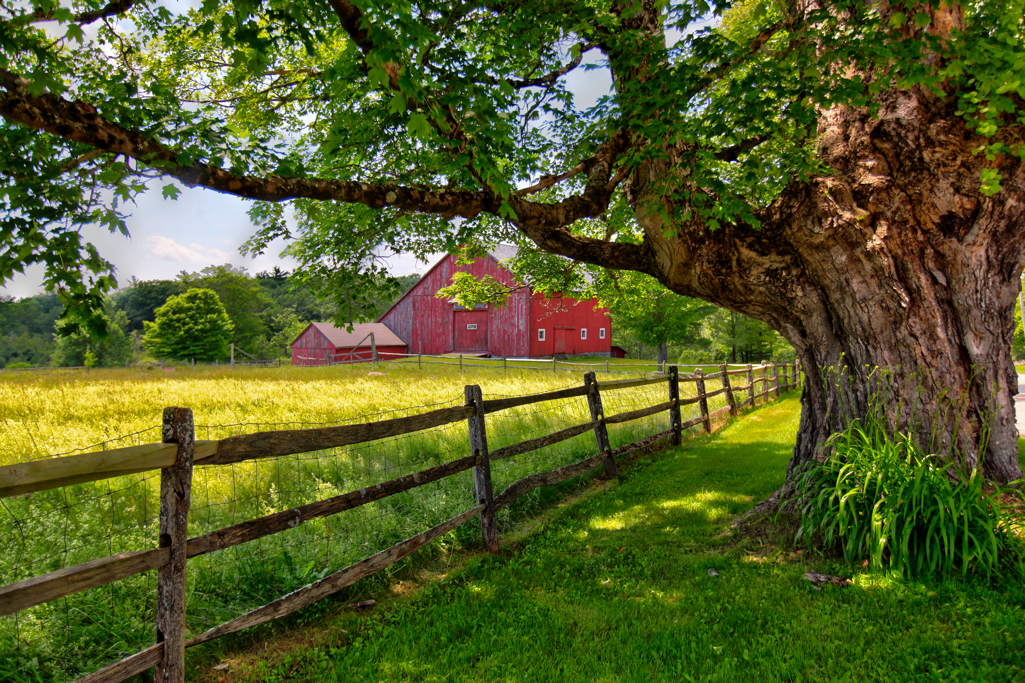  227 ACRES, 227 YEARS: 1798 COLONIAL FARM WITH SPECTACULAR ACREAGE AND RESTORED G - 物件實景