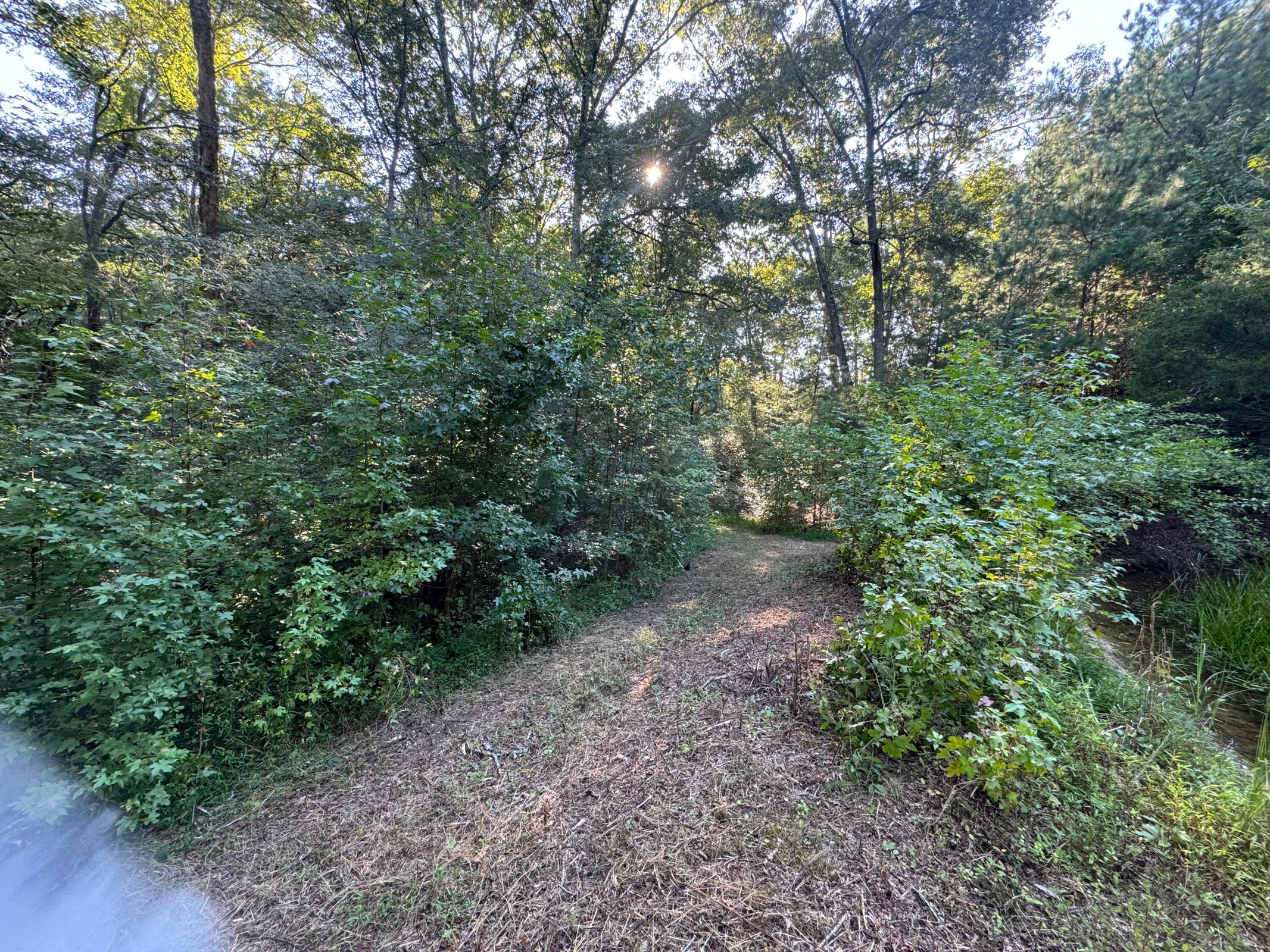 Dunlap, Tennessee, 37327, United States, 3 Bedrooms Bedrooms, ,1 BathroomBathrooms,Residential,For Sale,1980743