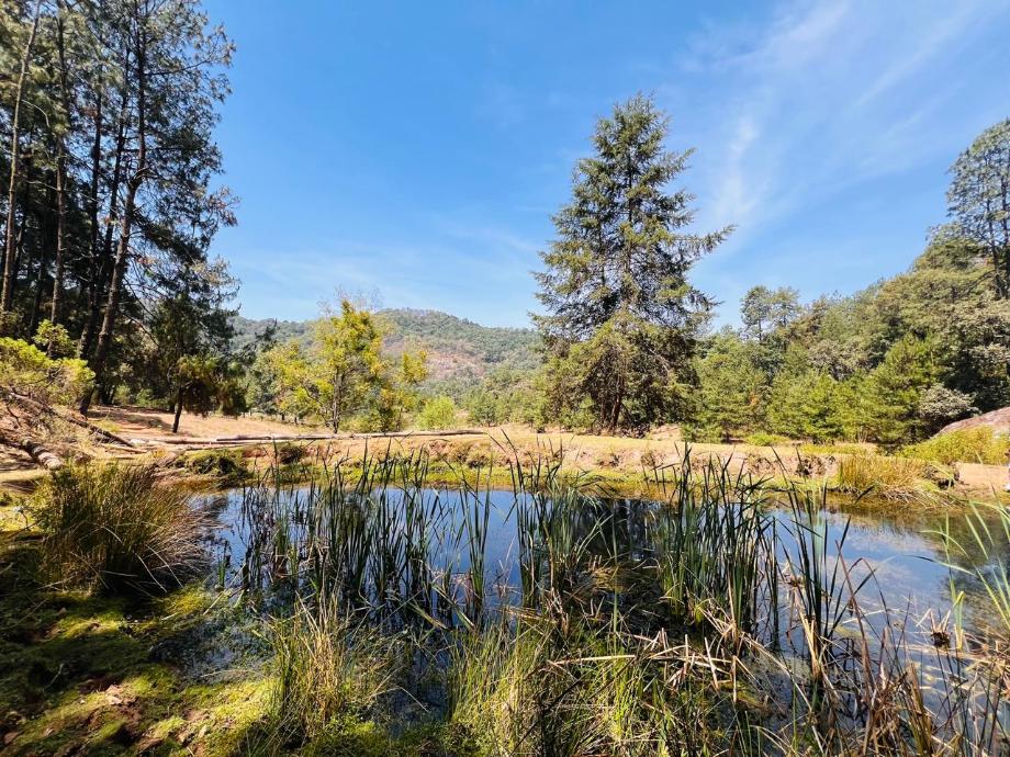 Valle de Bravo, Estado de méxico, 51200, Mexico, 1 Bedroom Bedrooms, ,Residential,For Sale,1721616