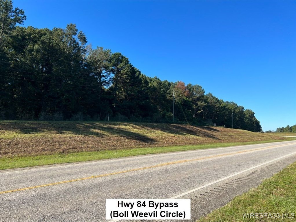 Enterprise, Alabama, 36330, United States, ,Land,For Sale,1979580