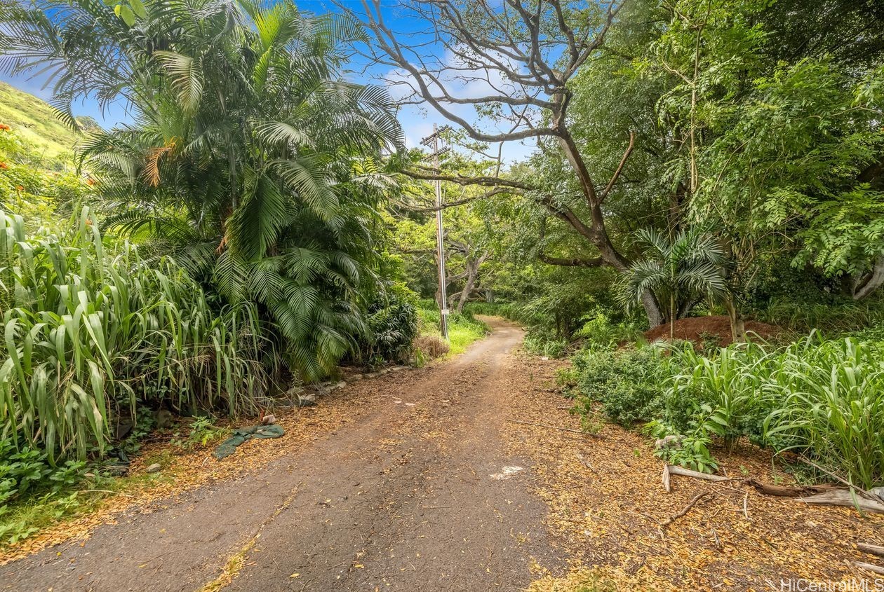 Aiea, Hawaii, 96701, United States, ,Land,For Sale,1987788