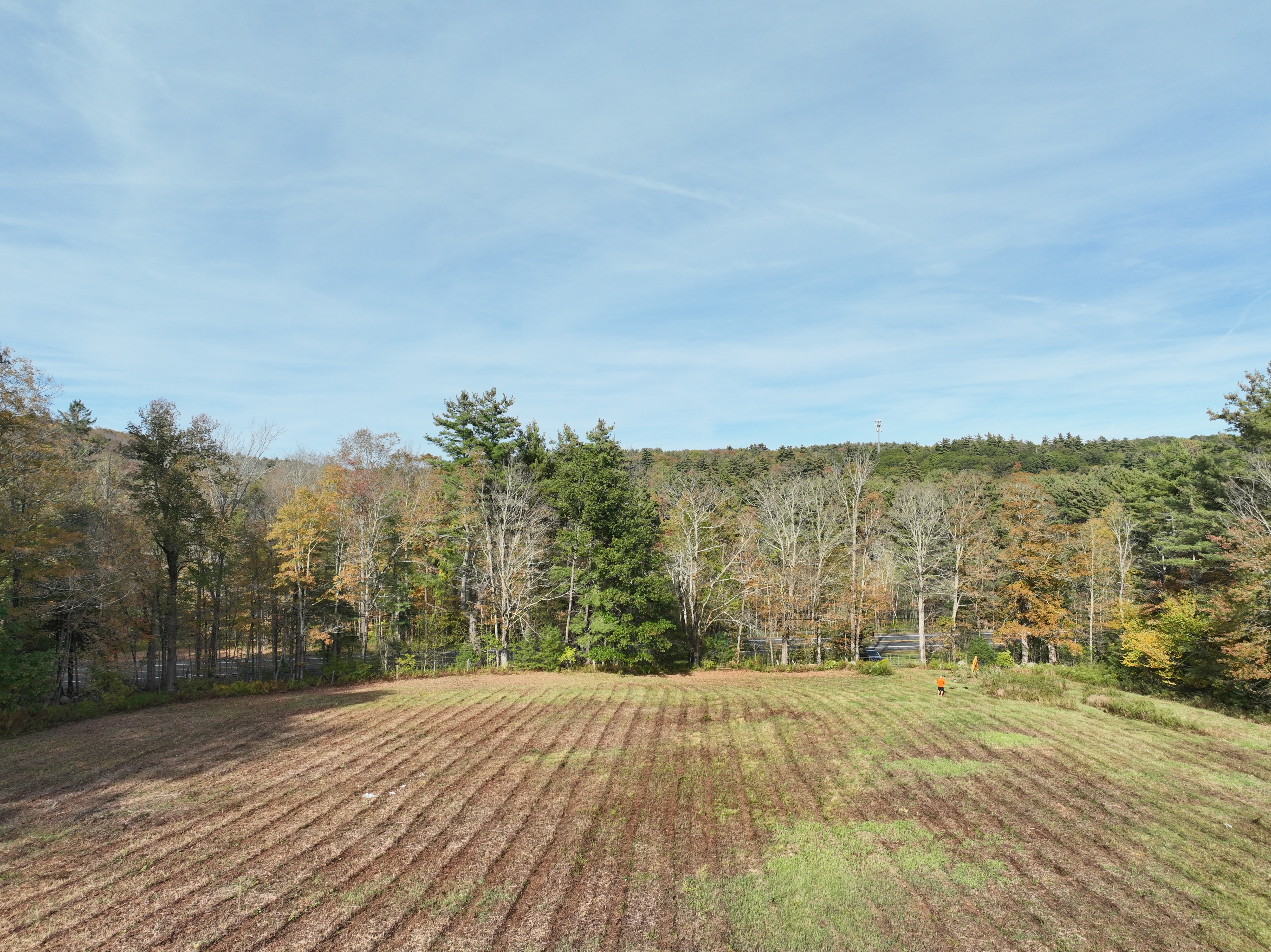  000000 Norfolk Road - 物件實景