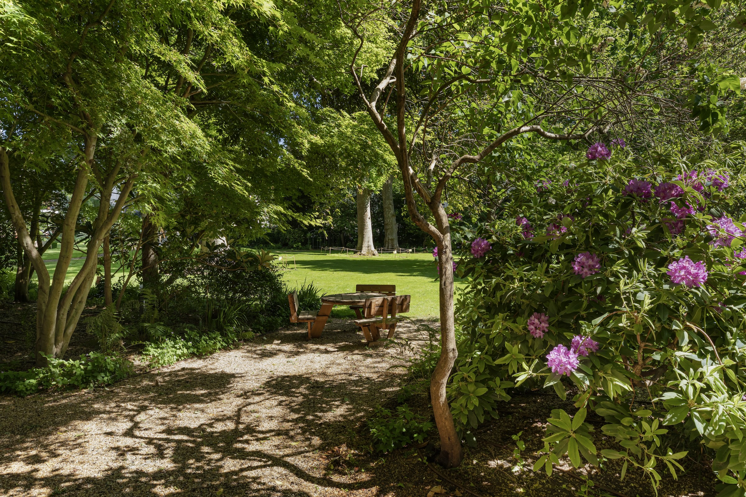  An immaculately finished lateral apartment overlooking Gloucester Square - 物件實景