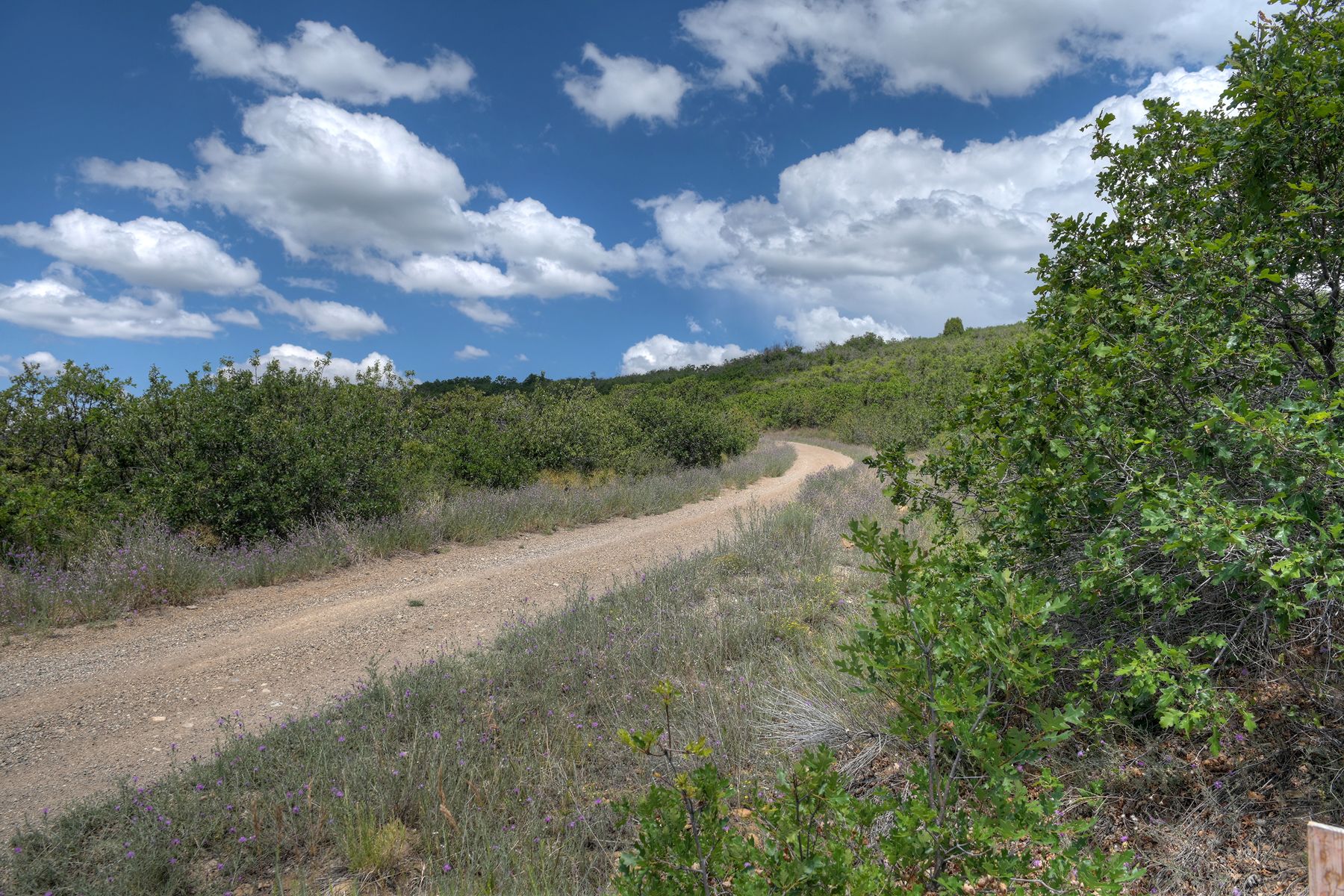  TBD Cross Creek Road, Hesperus, CO 81326 - 物件實景