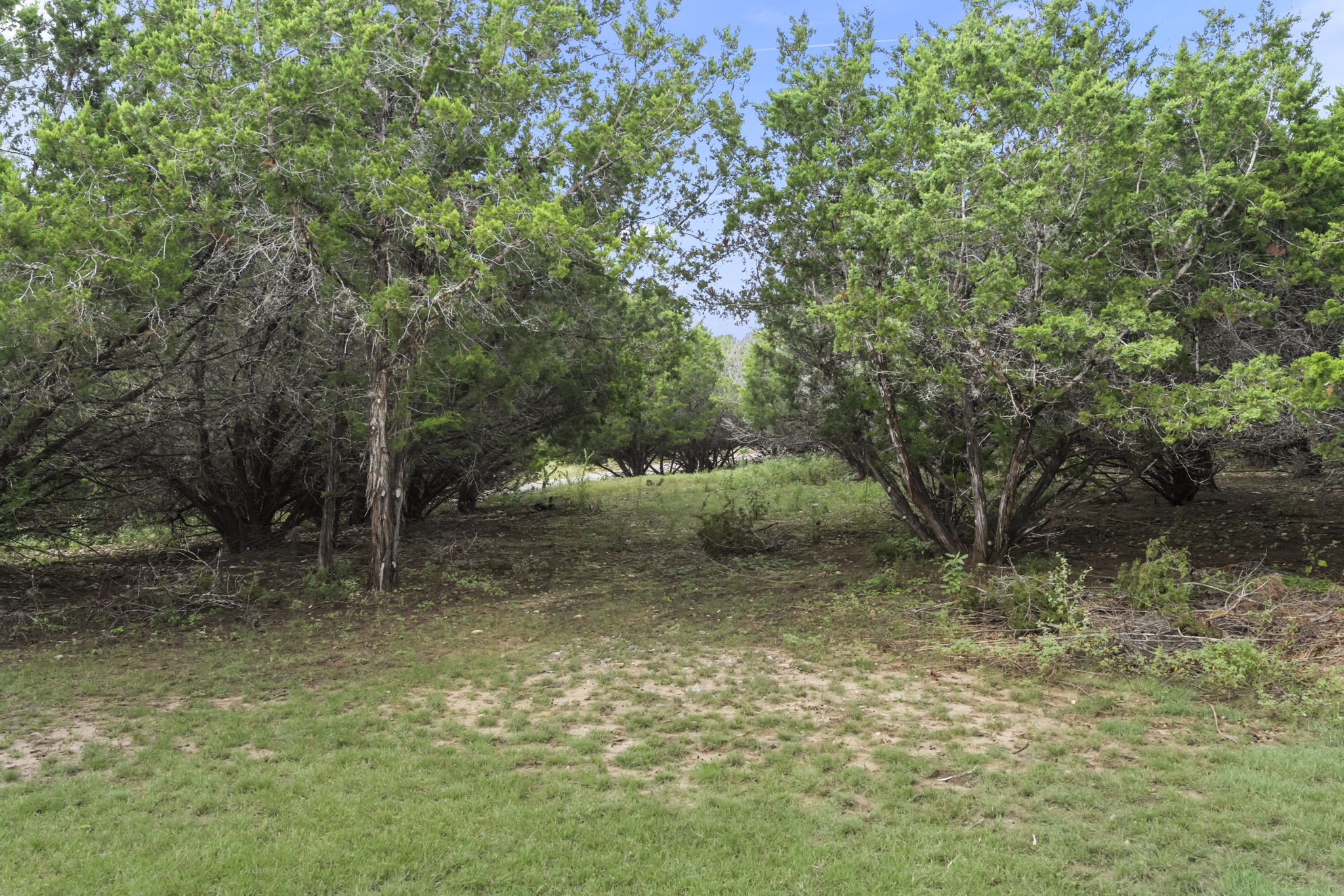  Private Hill Country Escape - 物件實景