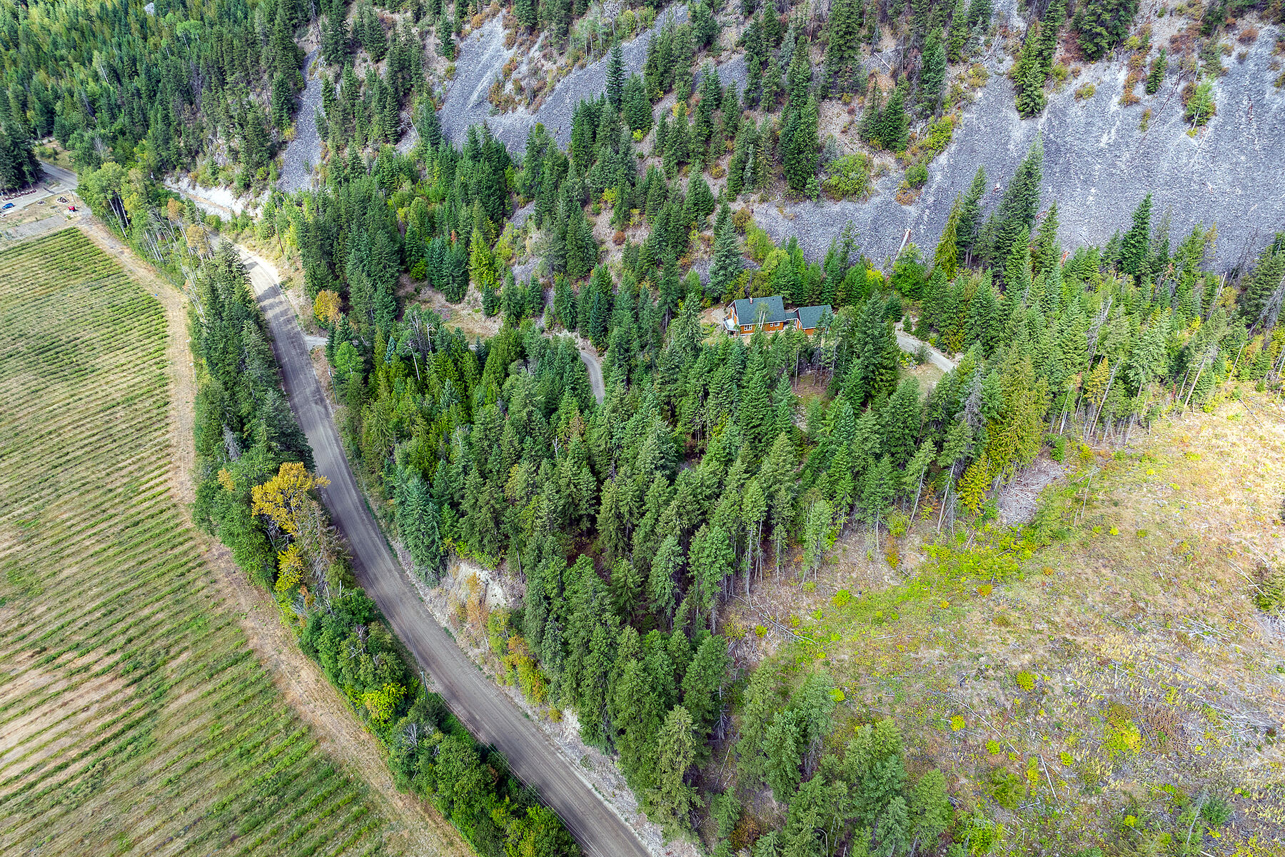  27 Acres in Creighton Valley - 物件實景