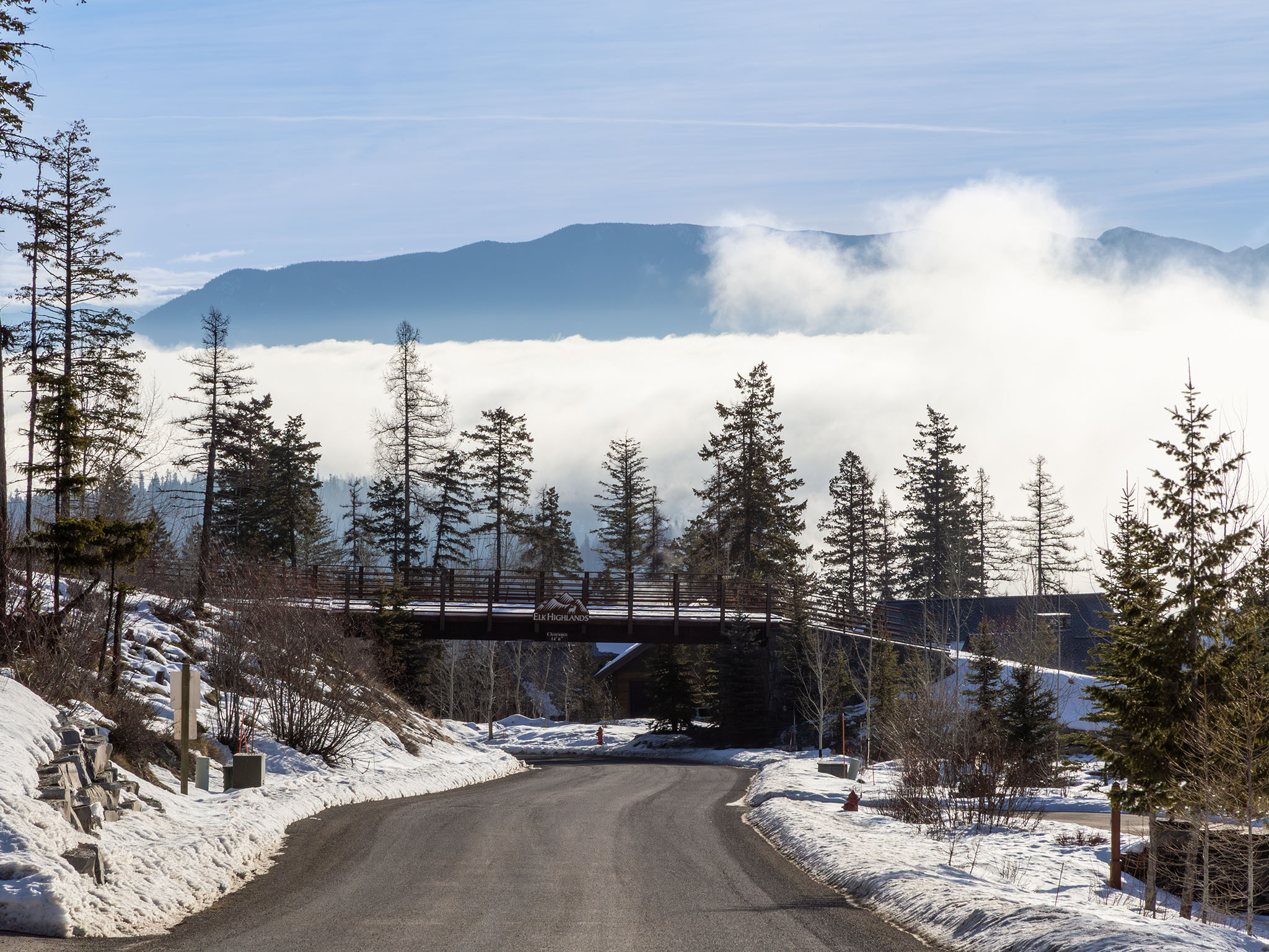  317 Elk Highlands Drive - 物件實景