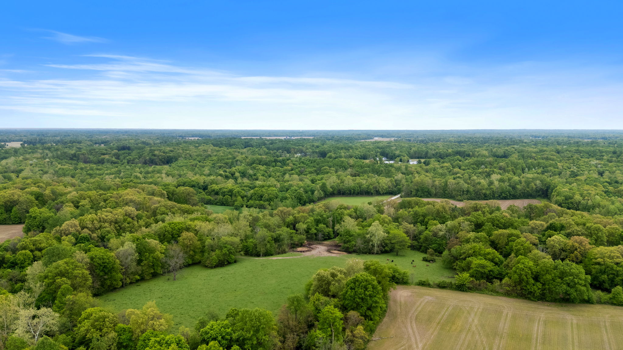 Rosedale, Indiana, 47874, United States, ,Land,For Sale,2049036