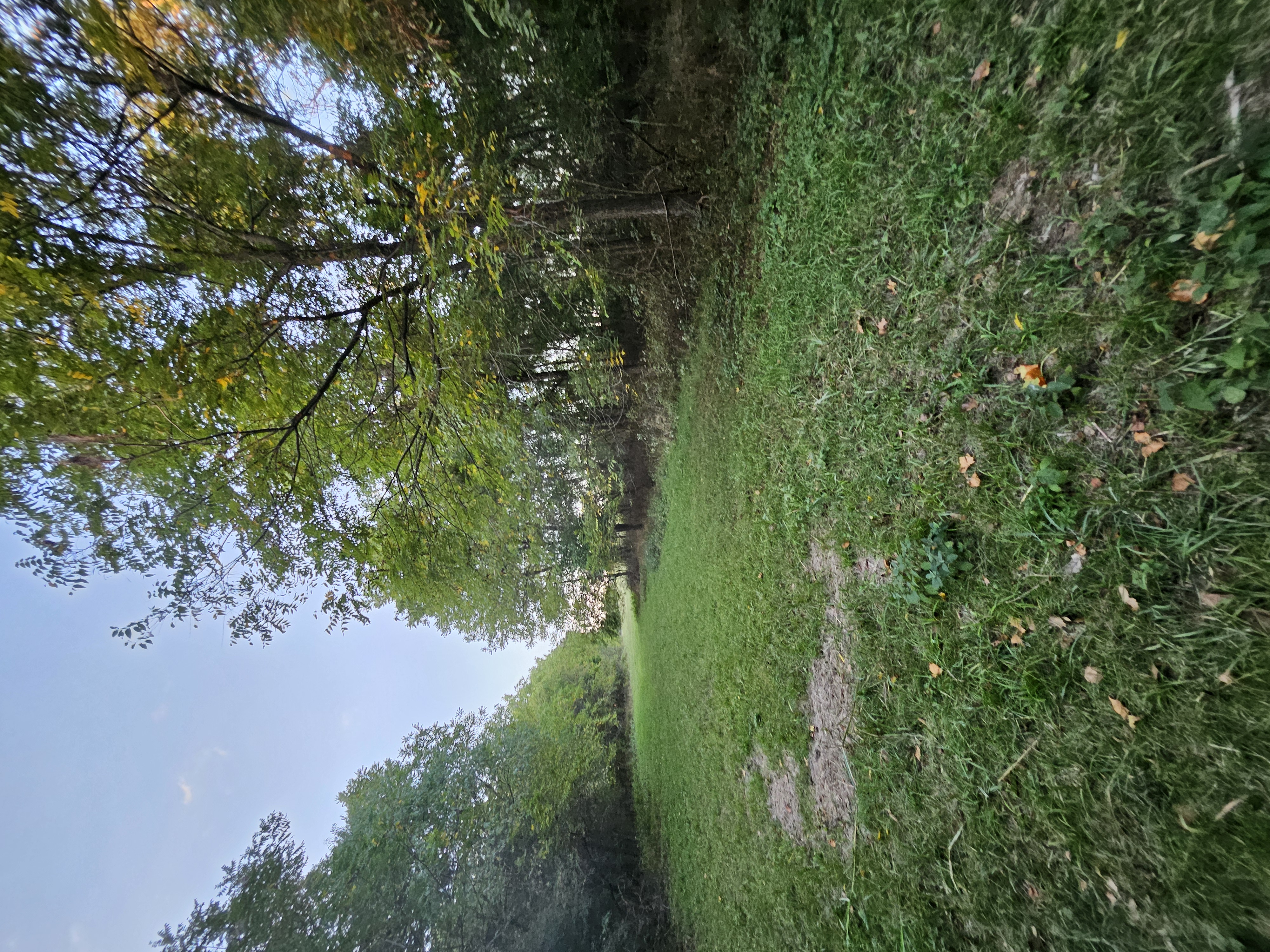 Pierce City, Missouri, 65723, United States, 5 Bedrooms Bedrooms, ,3 BathroomsBathrooms,Residential,For Sale,1984282