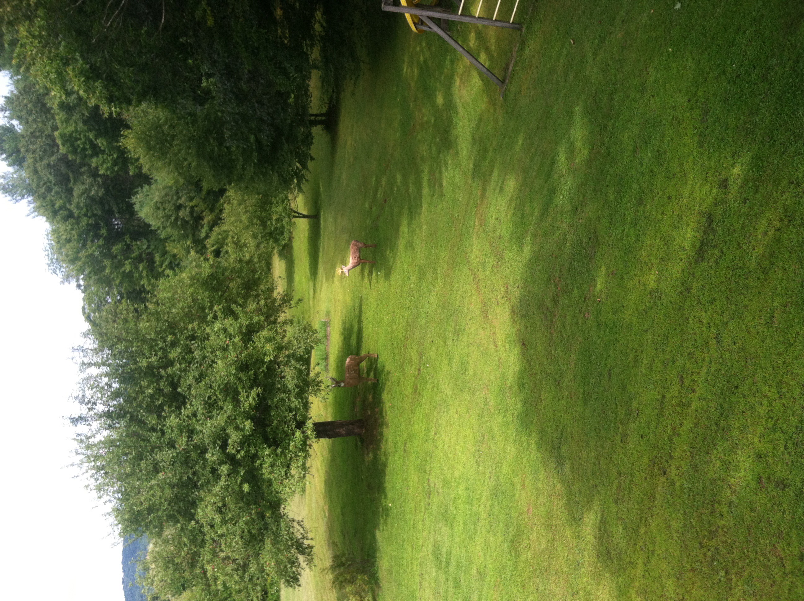  147 Pleasant View Lane - 物件實景