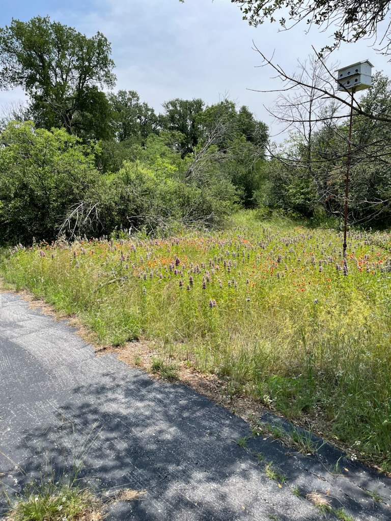 Fort Worth, Texas, 76179, United States, 4 Bedrooms Bedrooms, ,2 BathroomsBathrooms,Residential,For Sale,1993877