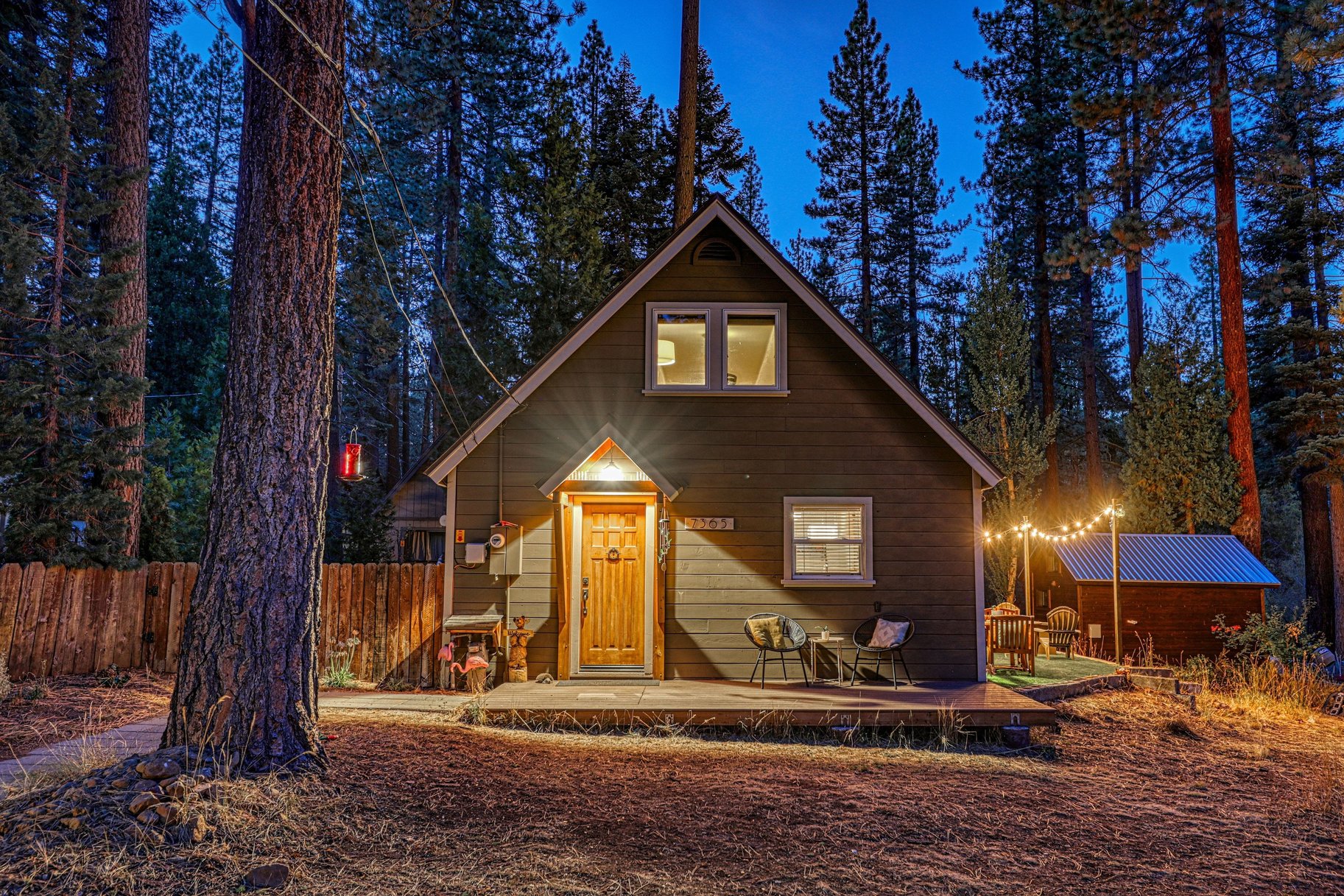  Charming cabin in the woods - 物件實景