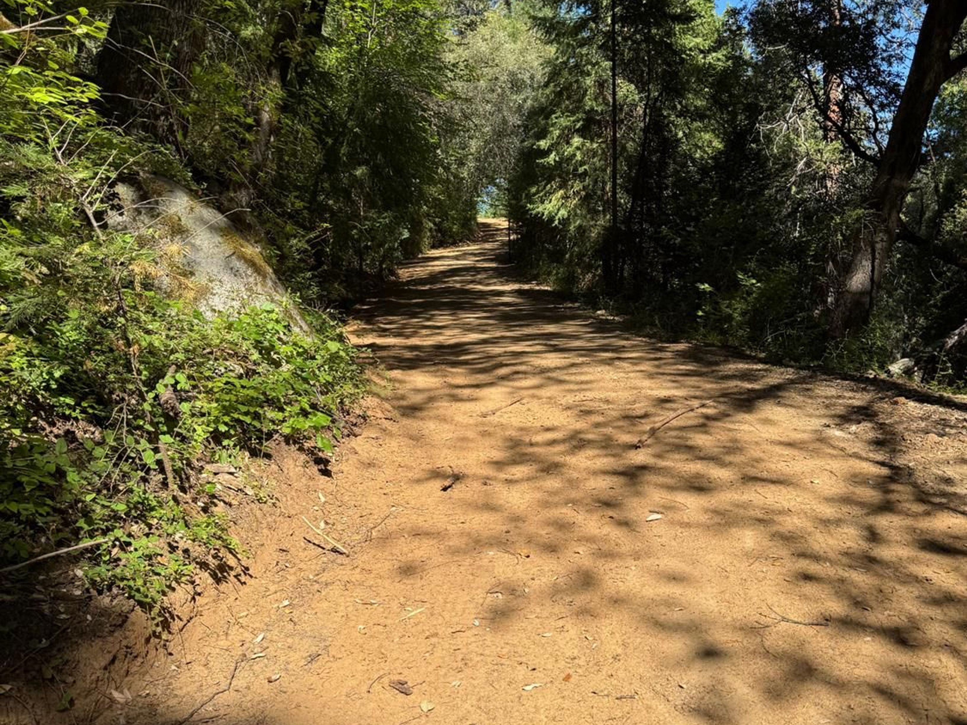 0 Old Country Road, West Point, CA 95255 - 物件實景