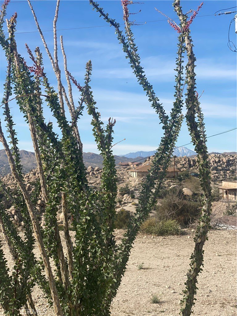 6161 Mirlo Road, Yucca Valley, California, 92284, United States, 2 Bedrooms Bedrooms, ,2 BathroomsBathrooms,Residential,For Sale,6161 Mirlo Road,1600905