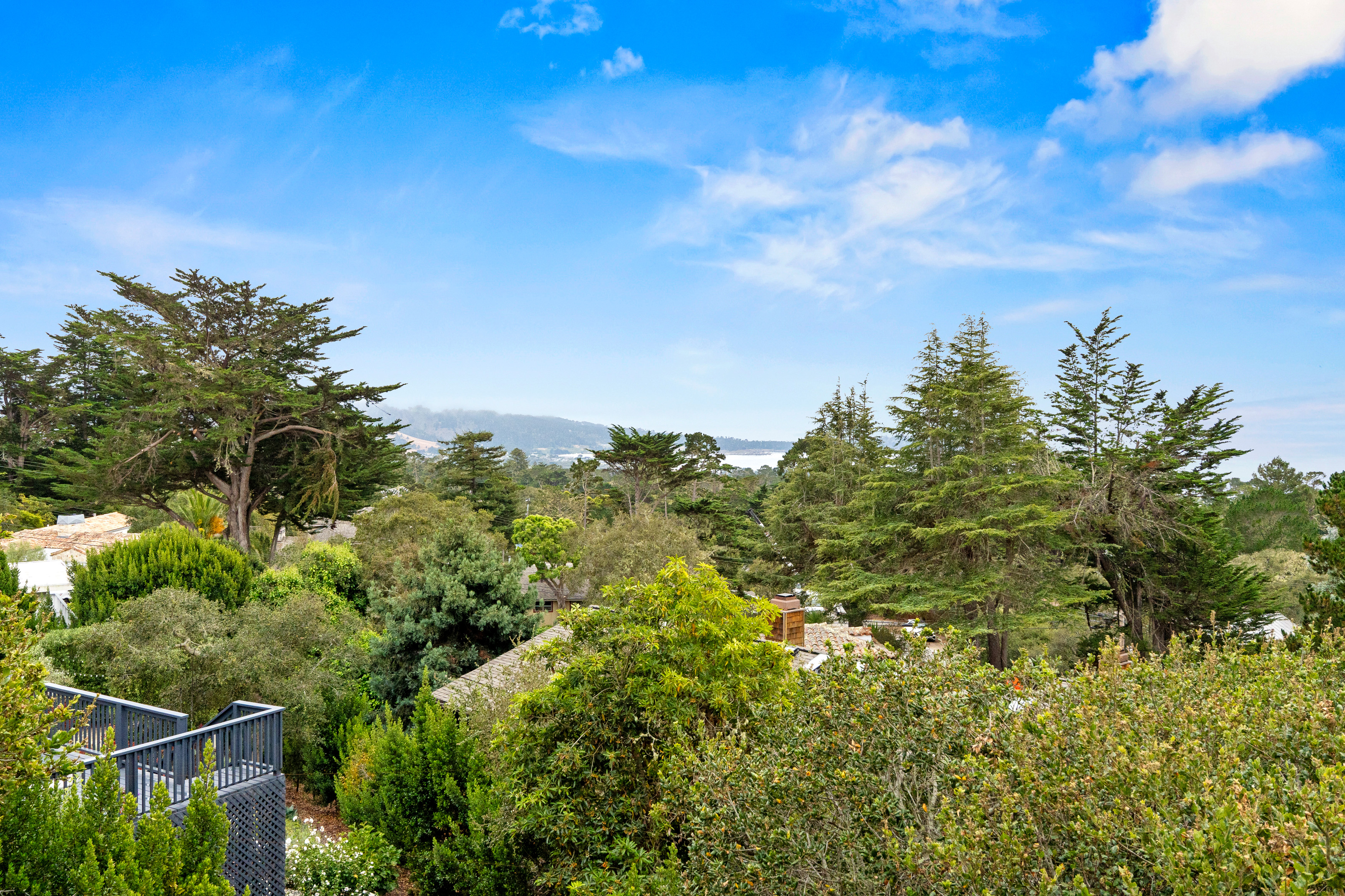  24400 S. San Luis Avenue - 物件實景