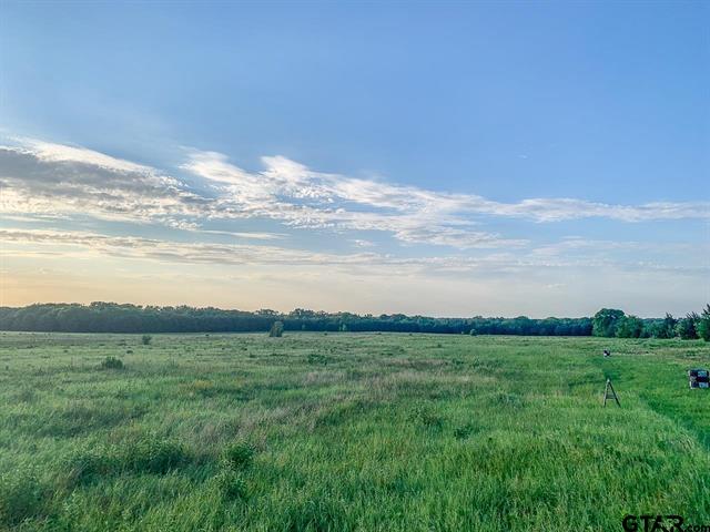 Mount Vernon, Texas, 75457, United States, ,Residential,For Sale,1998270