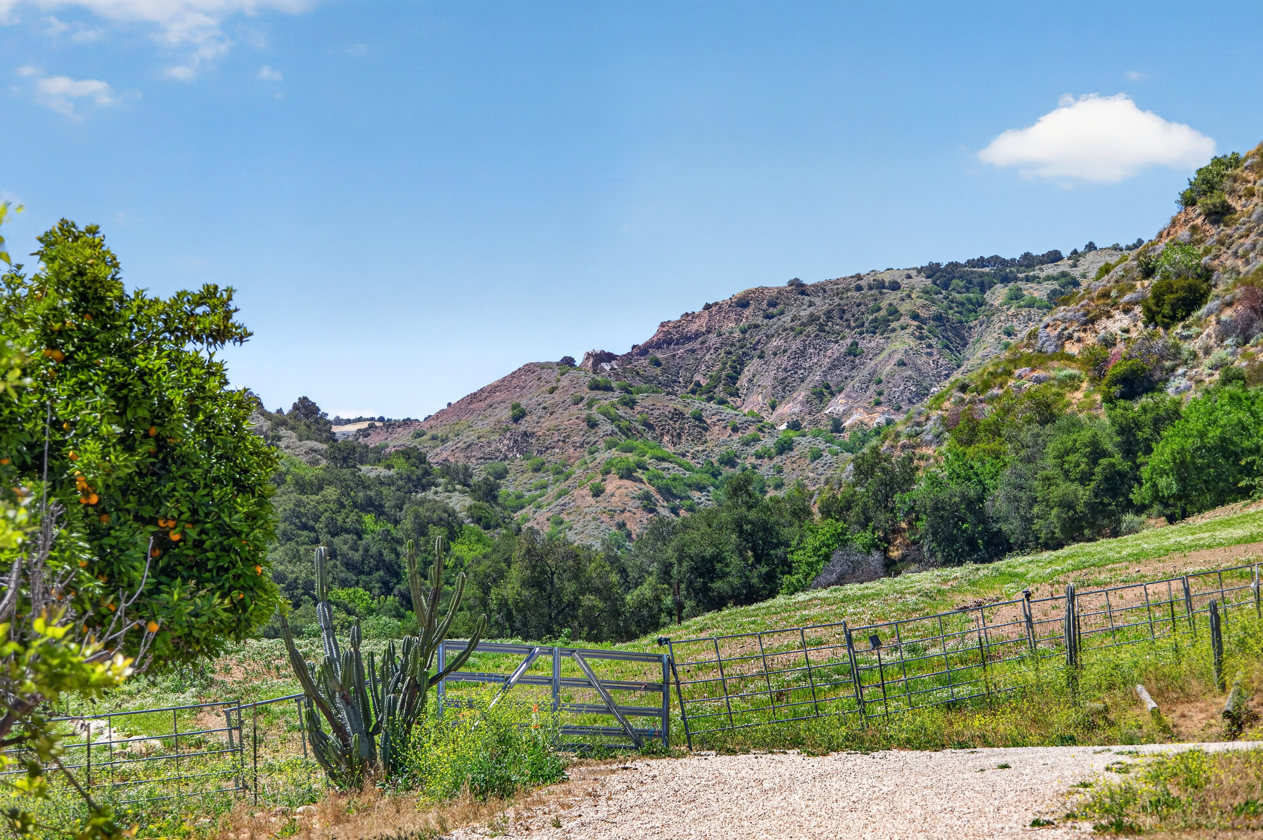  8416 Wheeler Canyon Road, Santa Paula, CA 93060 - 物件實景