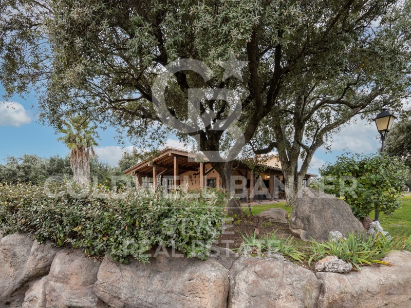Carretera de Castellar Barcelona, Matadepera, Mata, Matadepera, Catalonia, 08227, ES, 7 Bedrooms Bedrooms, ,3 BathroomsBathrooms,Residential,For Sale,Carretera de Castellar Barcelona, Matadepera, Mata,1448691
