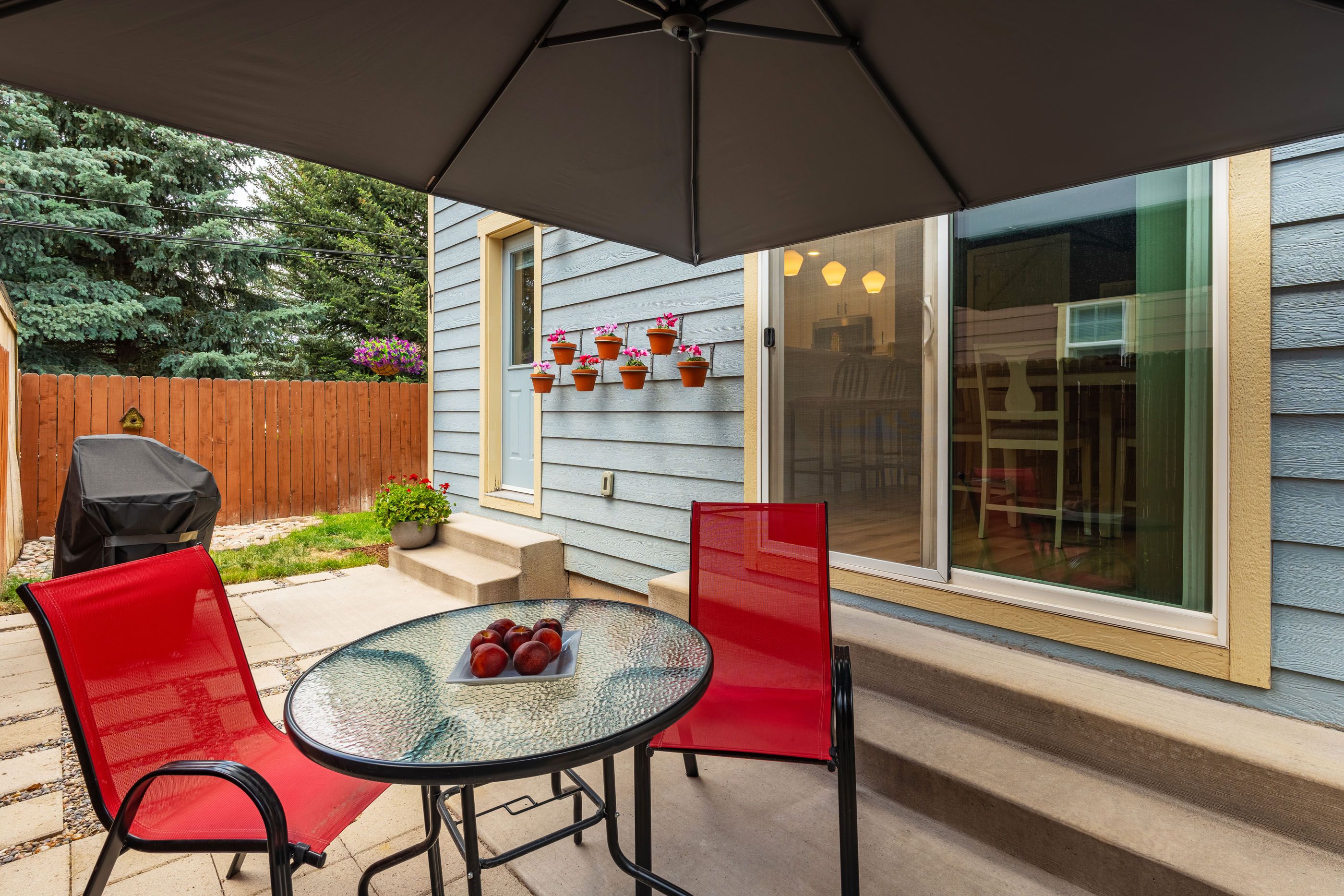 321 W. Eighth Court, Carbondale, CO 81623 - 物件實景