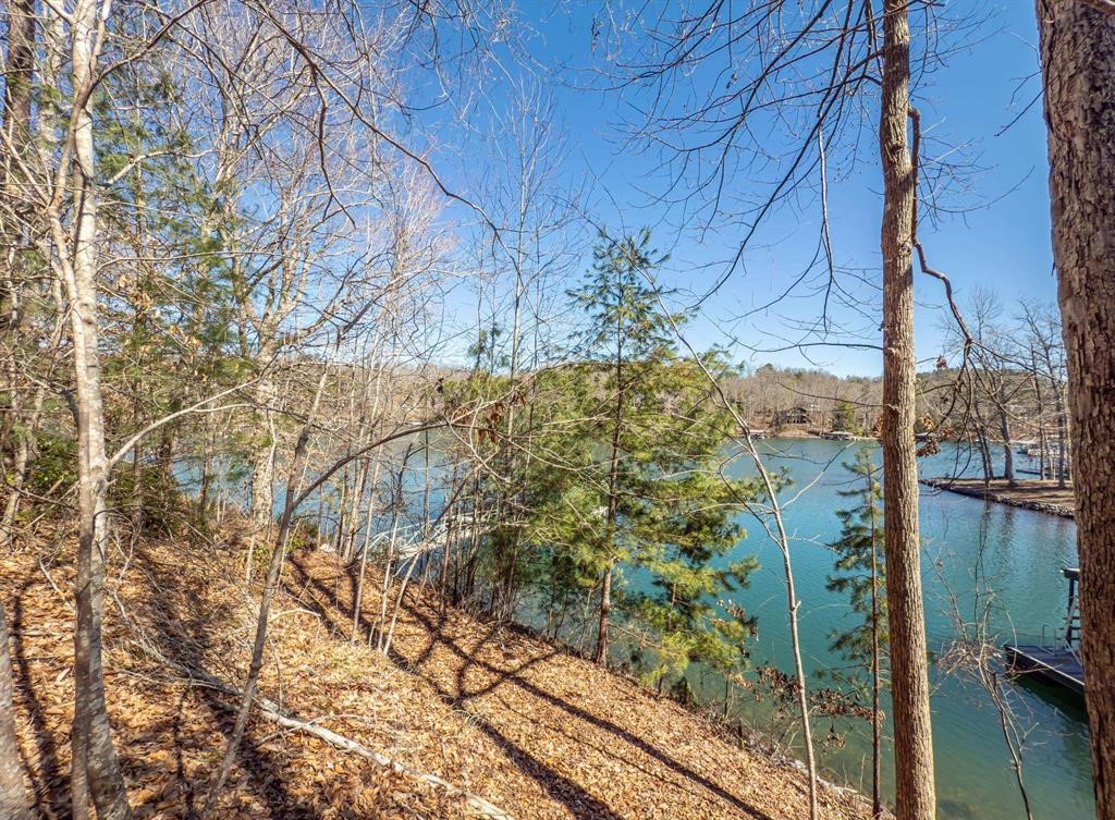 Sunset, South Carolina, 29685, United States, ,Land,For Sale,1896447