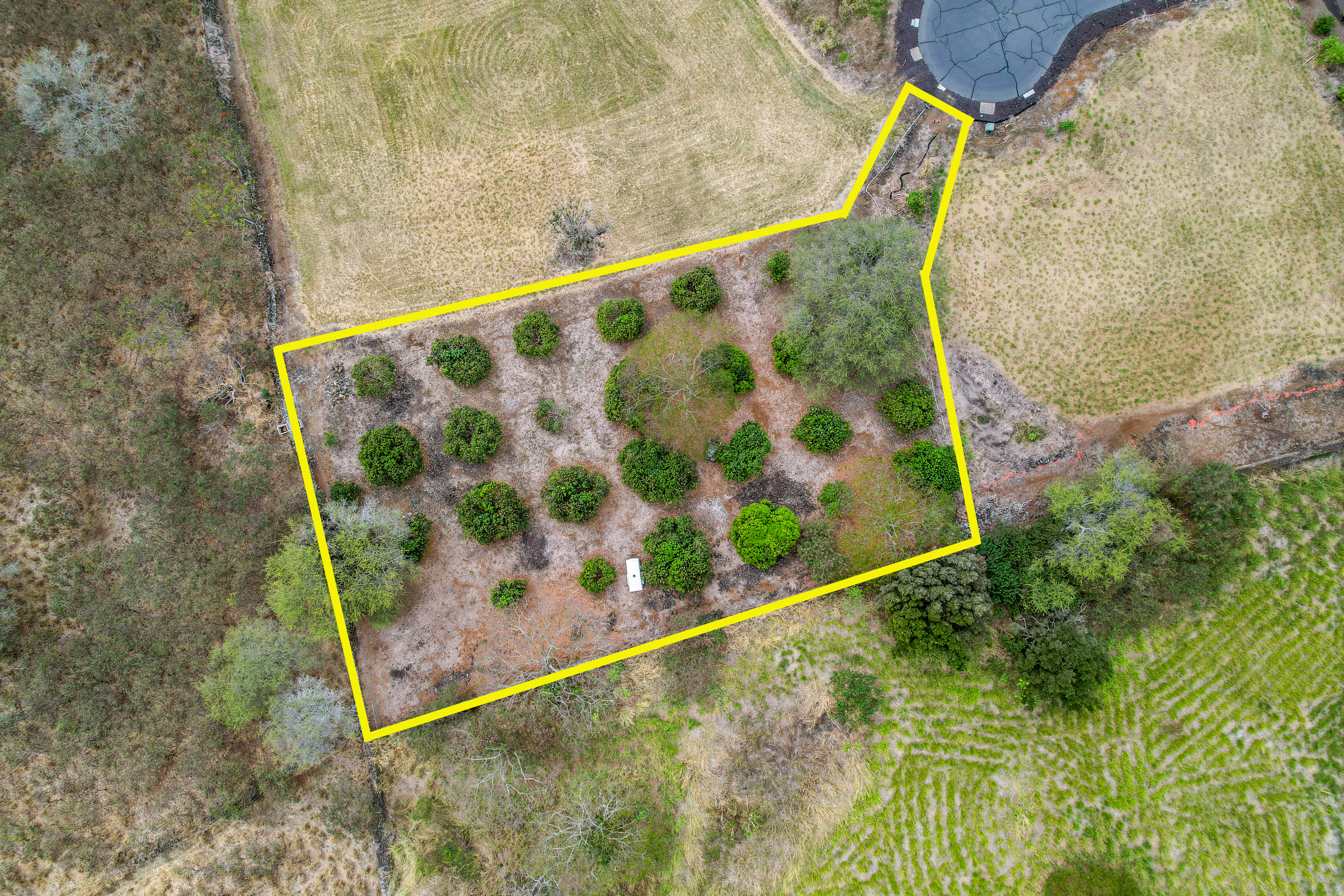  81-6470 Laukapalala Way, Kealakekua, HI 96750 - 物件實景