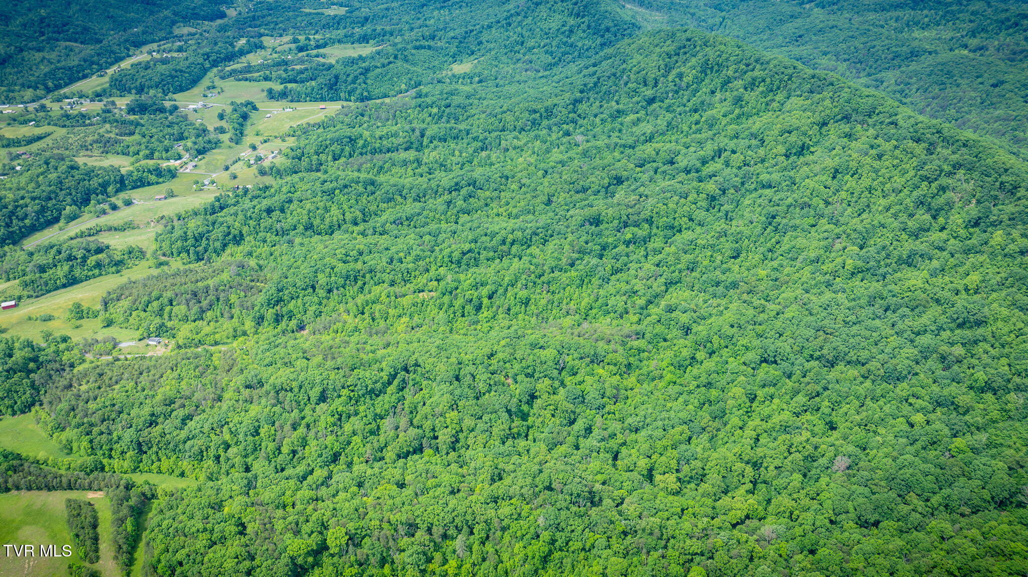 Kingsport, Tennessee, 37660, United States, 1 Bedroom Bedrooms, ,1 BathroomBathrooms,Residential,For Sale,1973991