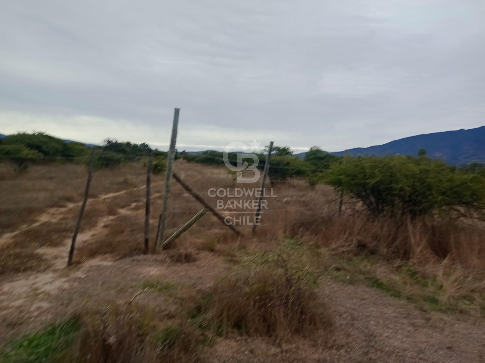 Zapallar, Chile, ,Residential,For Sale,1838115