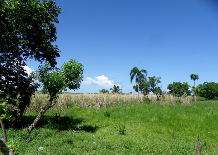 Cabarete, DO, ,Land,For Sale,1627535