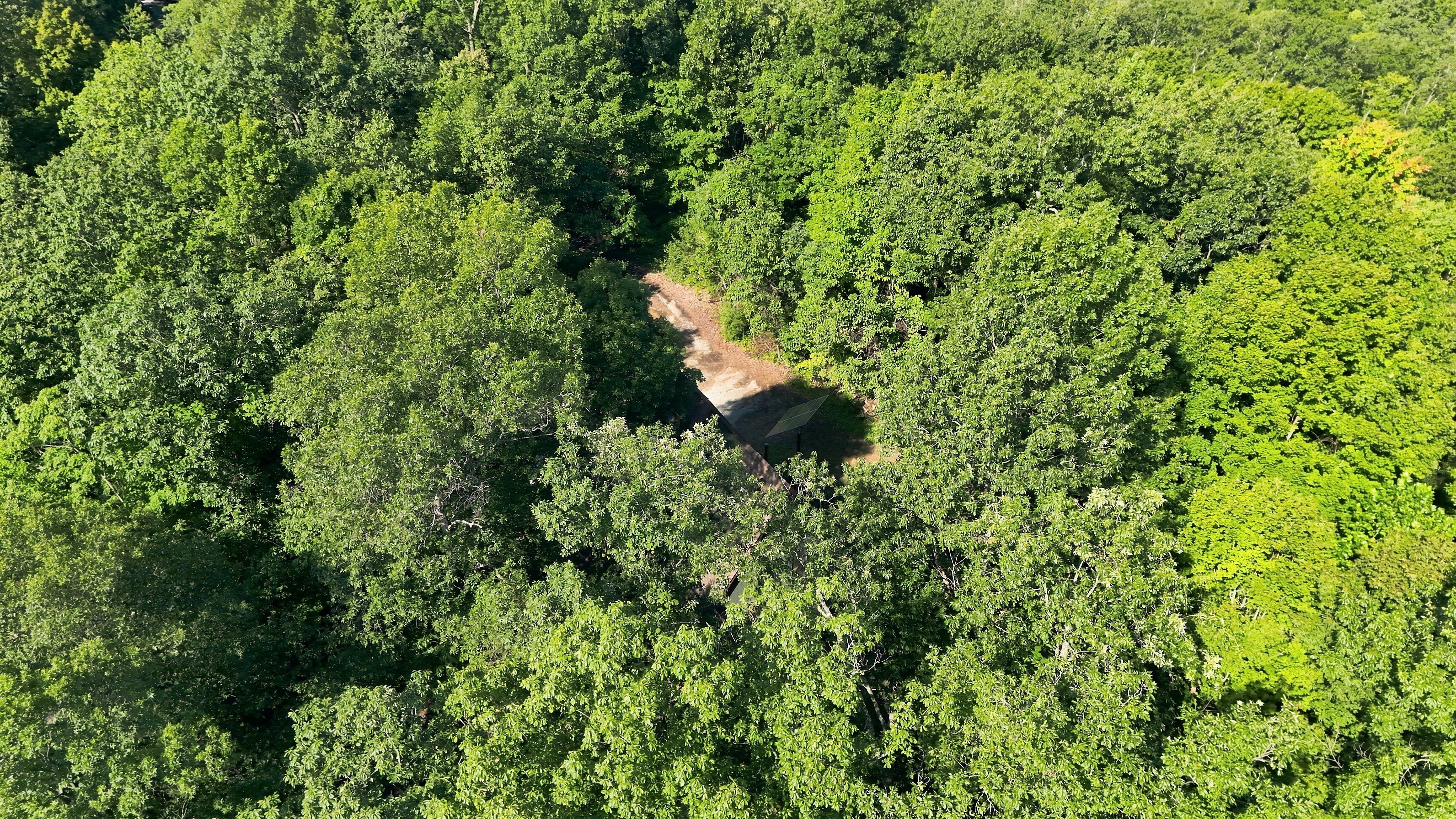  3870 North Leval Ratt Road, Scottsburg, IN 47170 - 物件實景