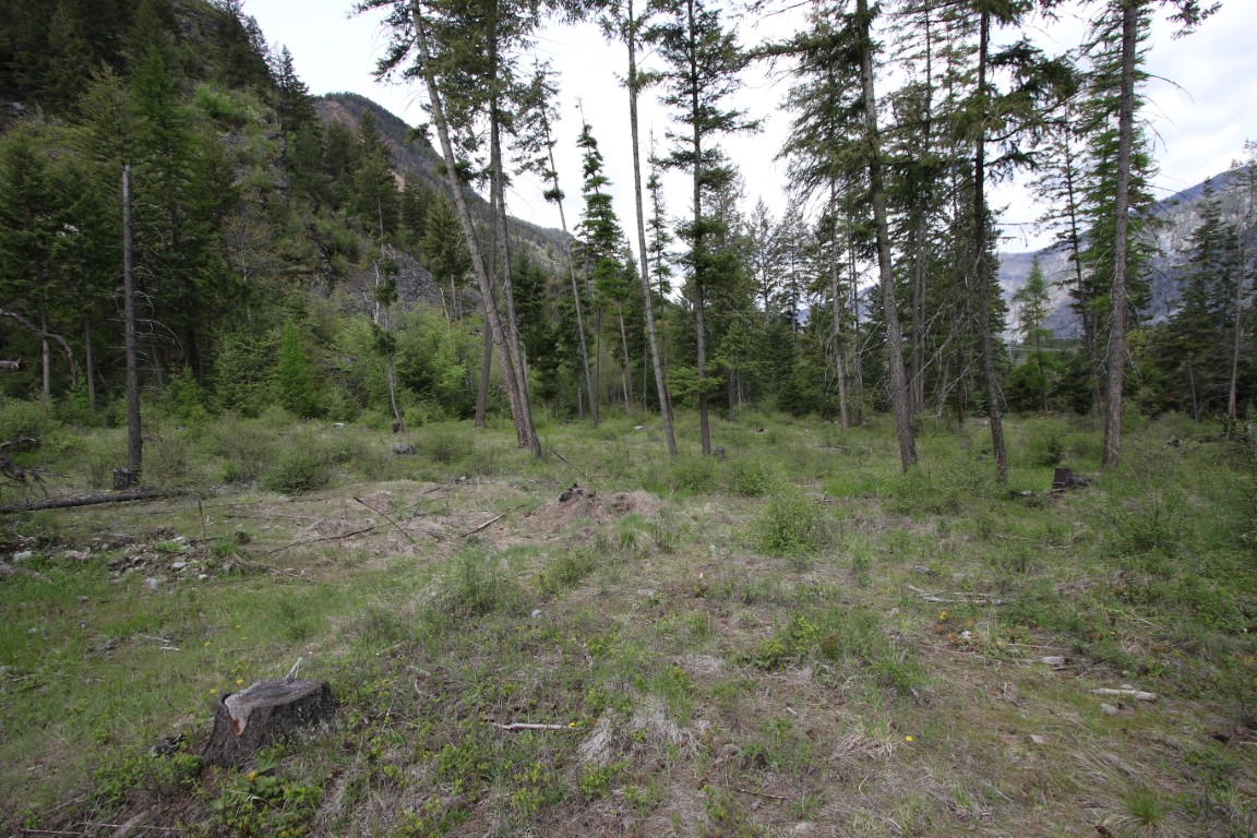 Plains, Montana, 59859, United States, ,Residential,For Sale,1921183