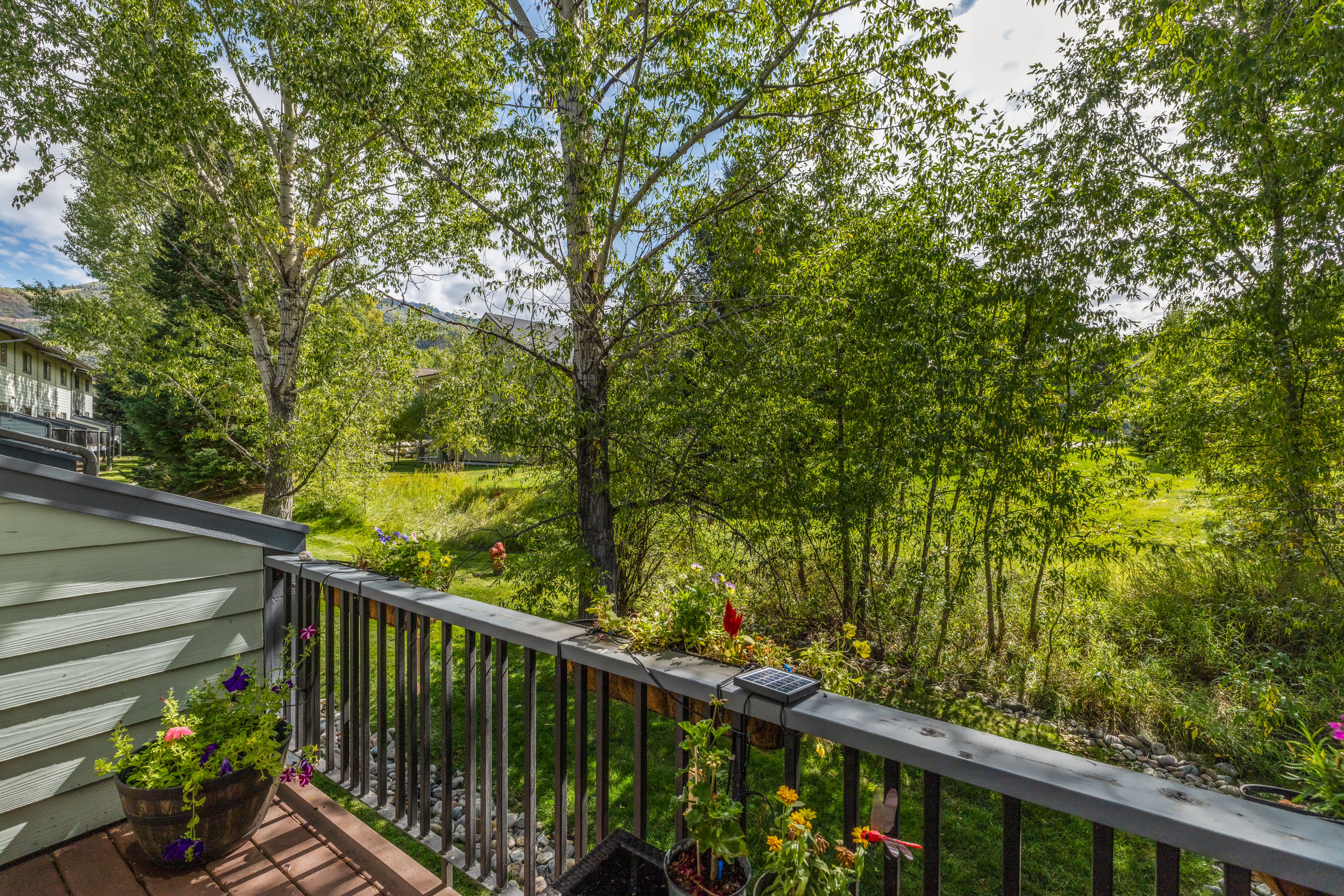  1555 Woodbridge Court, Steamboat Springs, CO 80487 - 物件實景