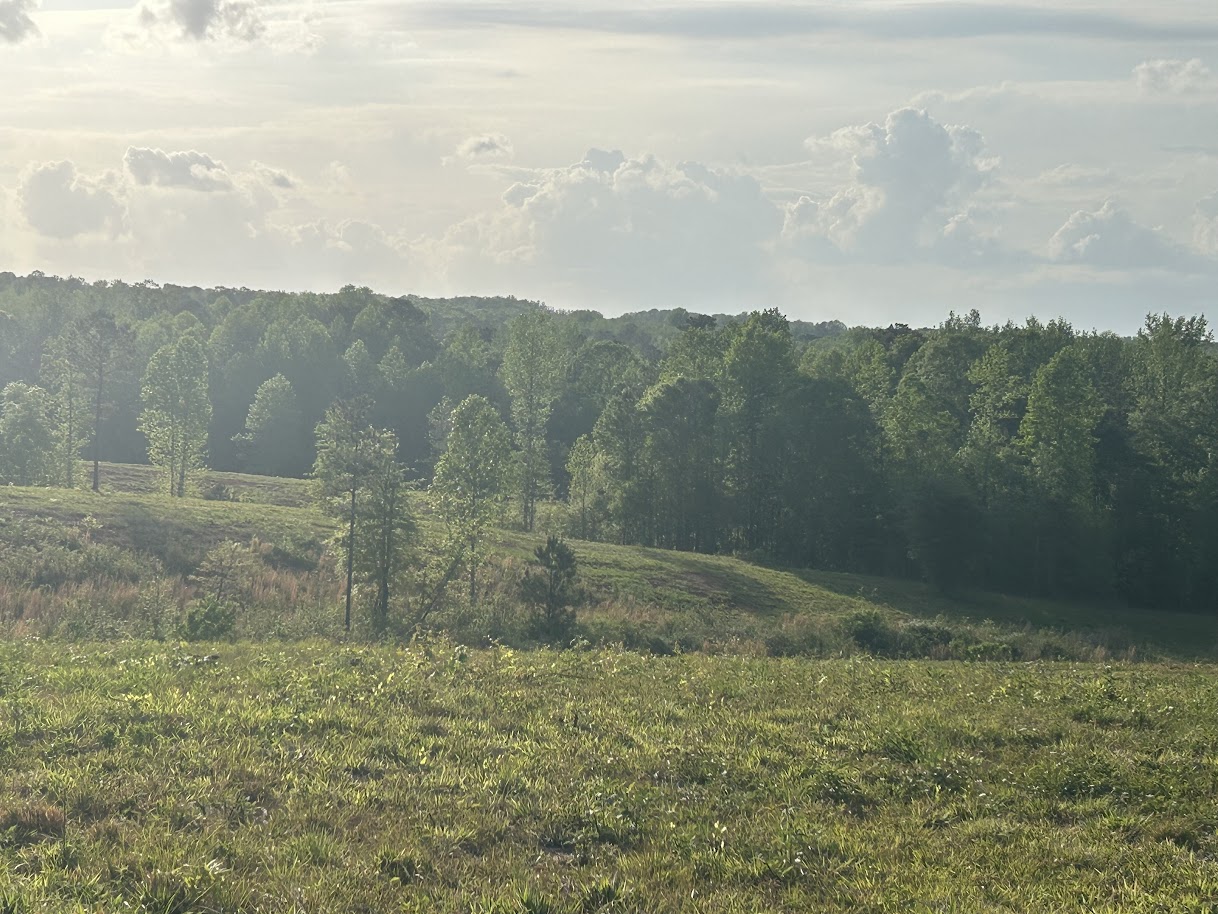 Roopville, Georgia, 30170, United States, ,Residential,For Sale,1780793