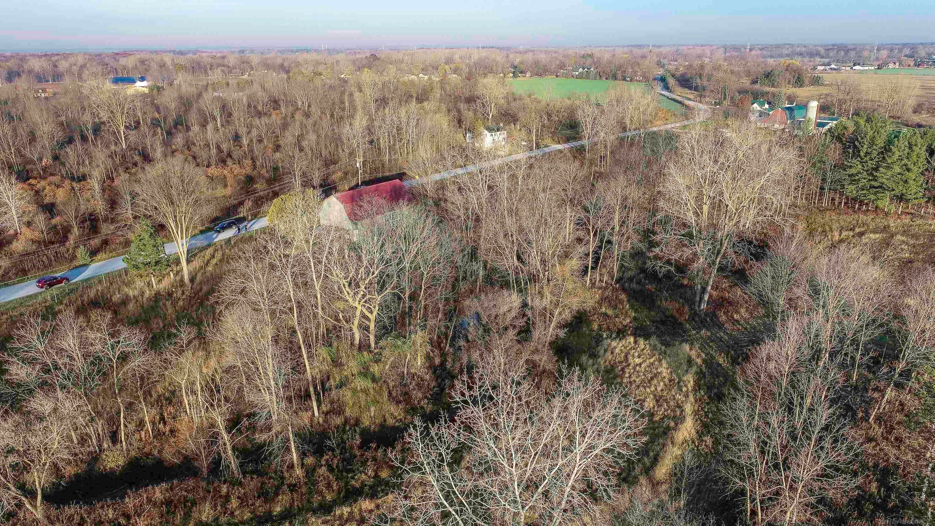 Ray, Michigan, 48096, United States, ,Land,For Sale,1998668