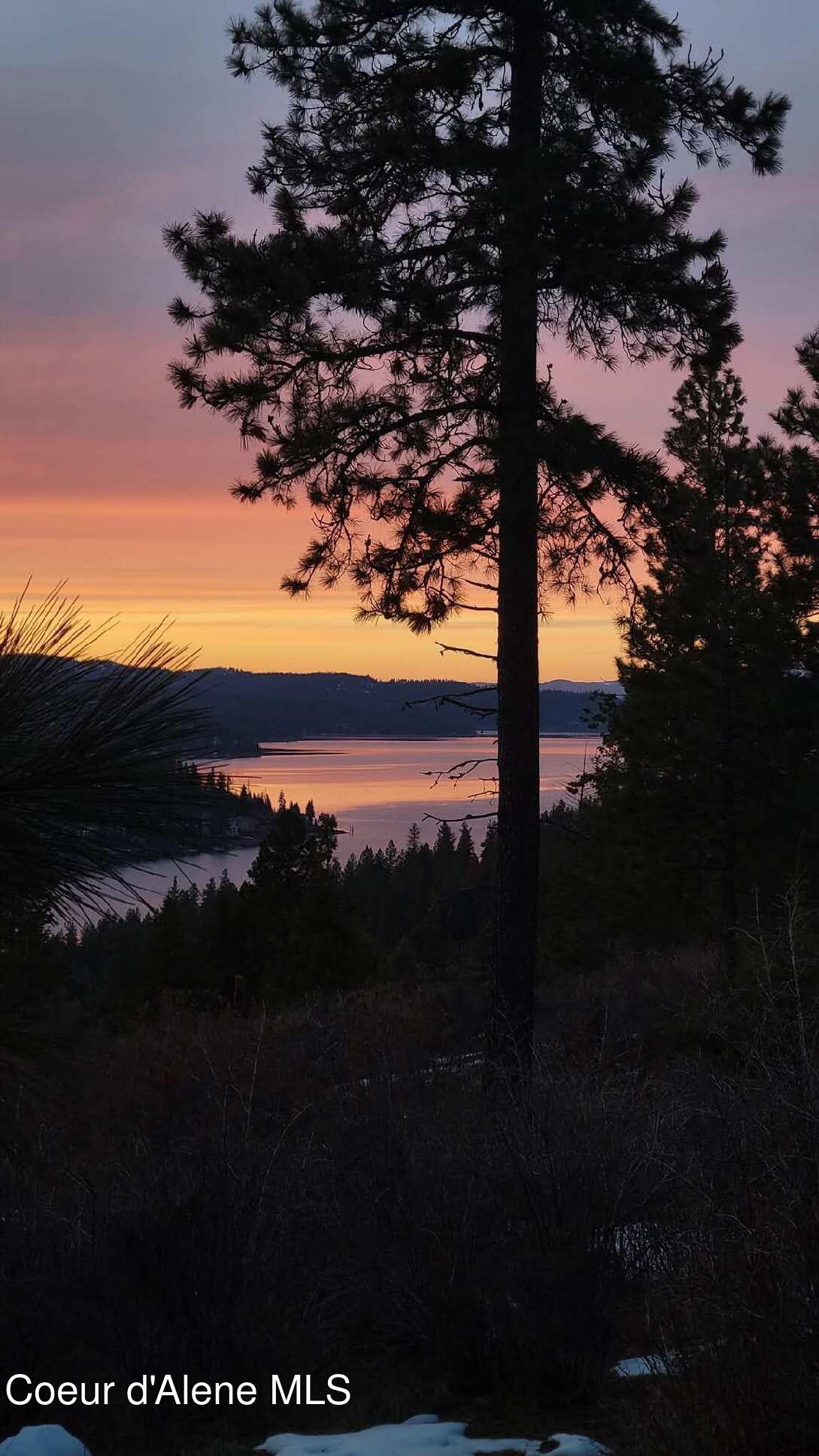 Harrison, Idaho, 83833, United States, 1 Bedroom Bedrooms, ,1 BathroomBathrooms,Residential,For Sale,1980772