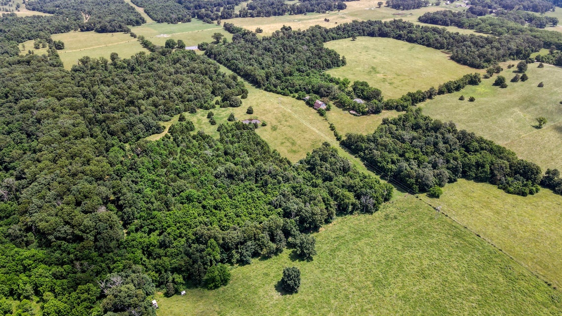 Peace Valley, Missouri, 65788, United States, 5 Bedrooms Bedrooms, ,1 BathroomBathrooms,Residential,For Sale,1980940