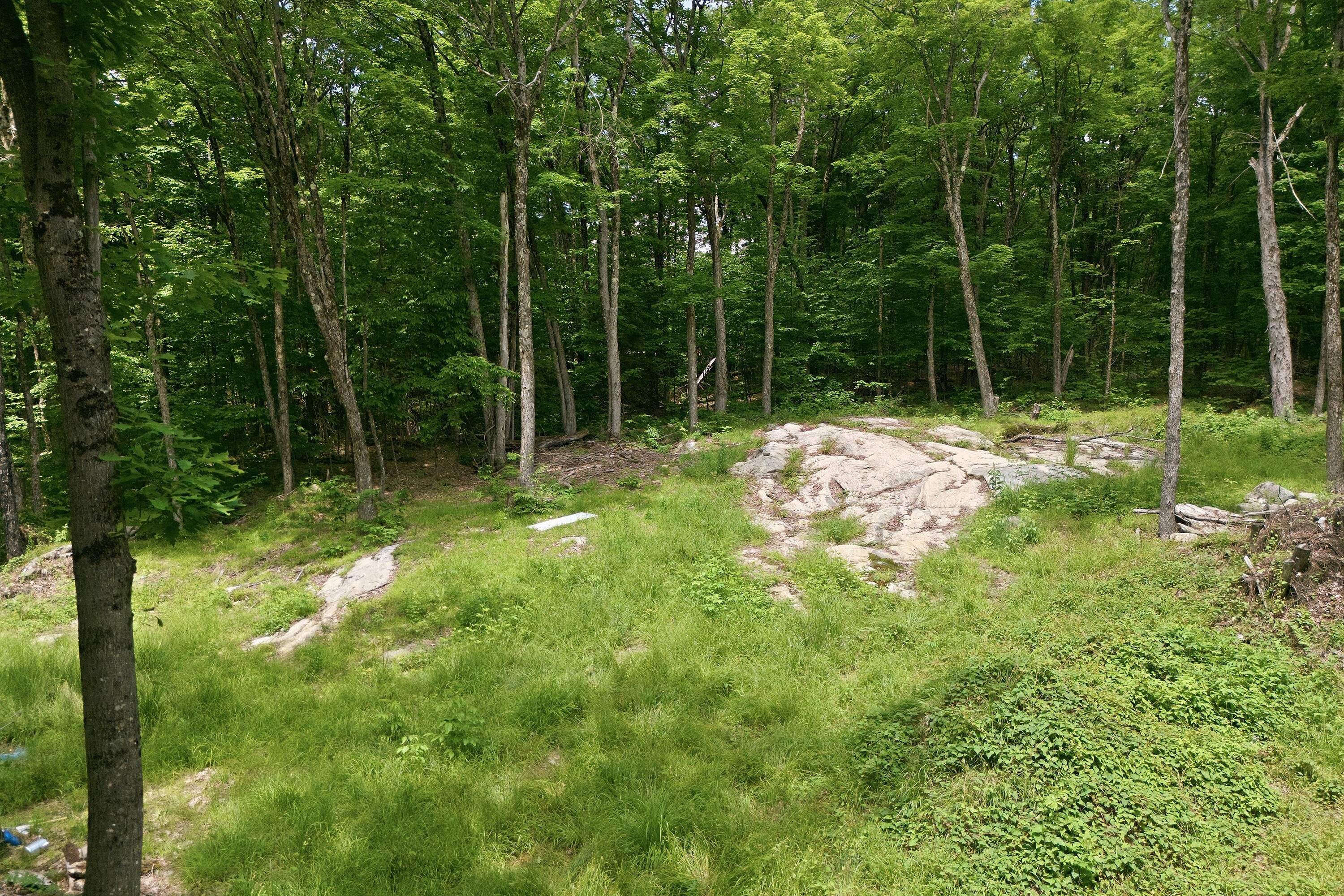 Bracebridge Building Lot - 物件實景