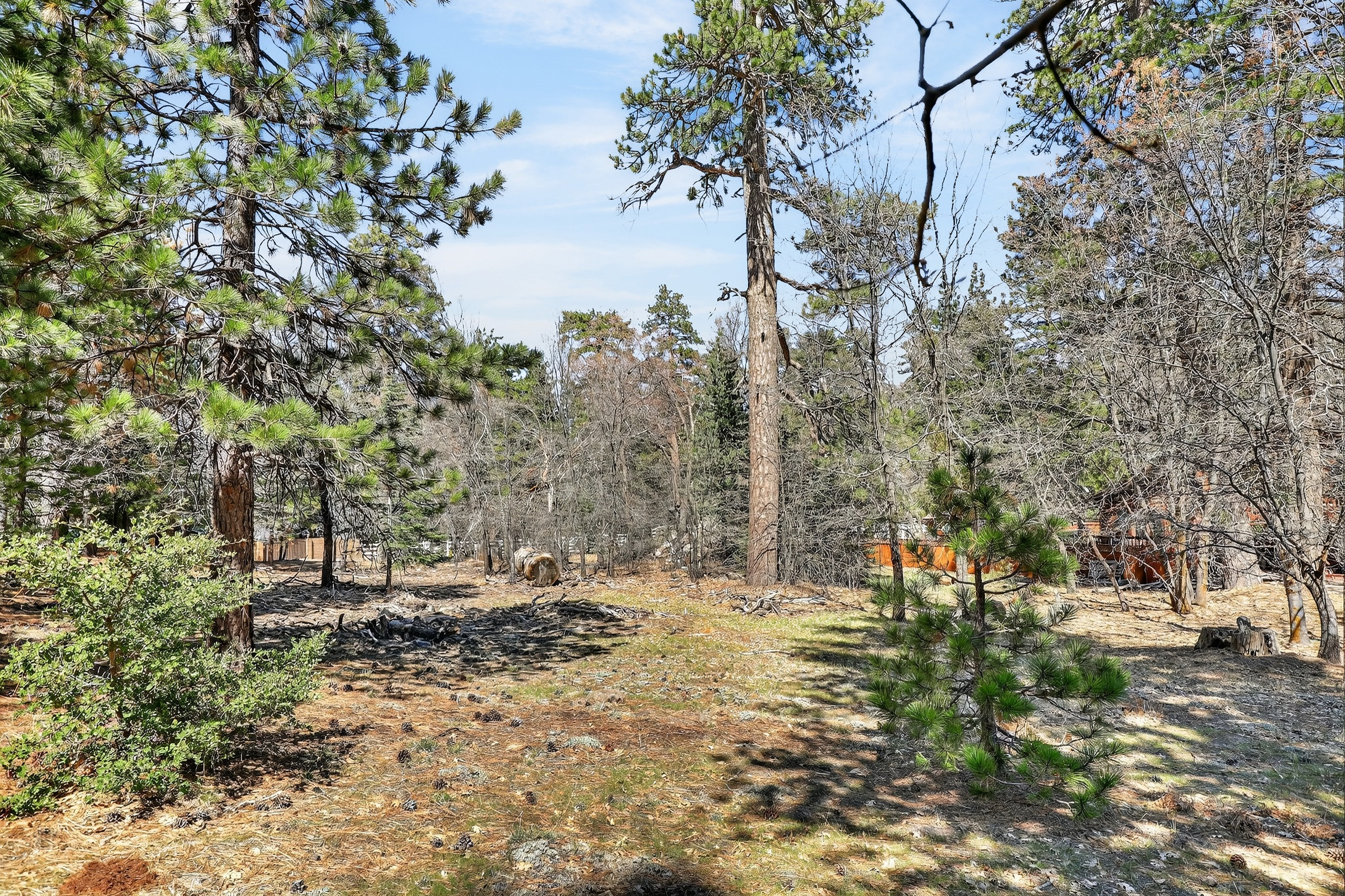  0 Cepu Rd, Running Springs , CA 92382 - 物件實景